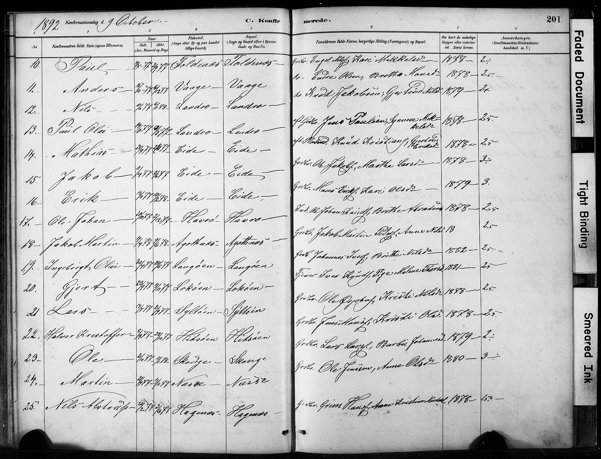 Fjell sokneprestembete, SAB/A-75301/H/Hab: Parish register (copy) no. A 4, 1880-1899, p. 201