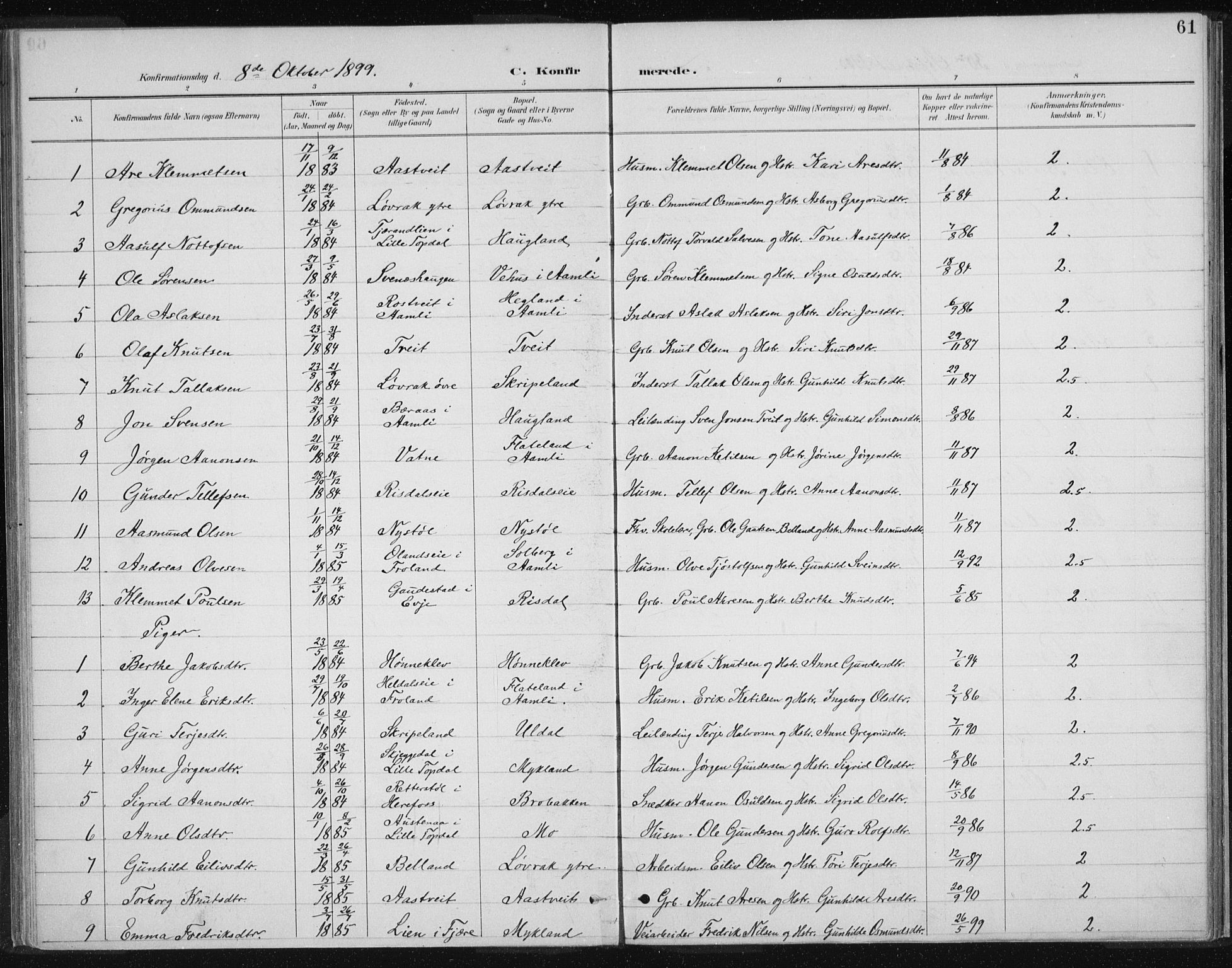 Herefoss sokneprestkontor, SAK/1111-0019/F/Fa/Fac/L0002: Parish register (official) no. A 2, 1887-1915, p. 61