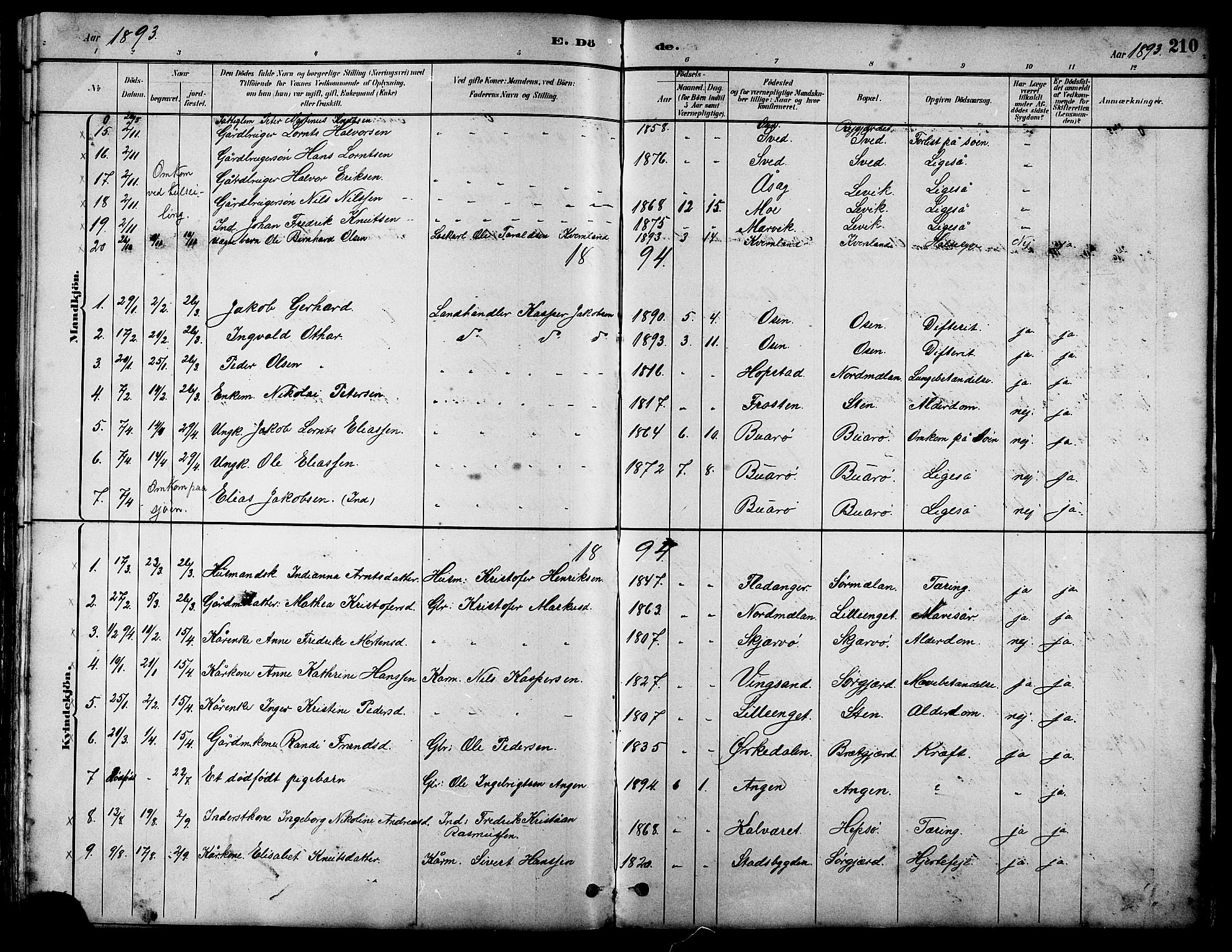 Ministerialprotokoller, klokkerbøker og fødselsregistre - Sør-Trøndelag, SAT/A-1456/658/L0726: Parish register (copy) no. 658C02, 1883-1908, p. 210