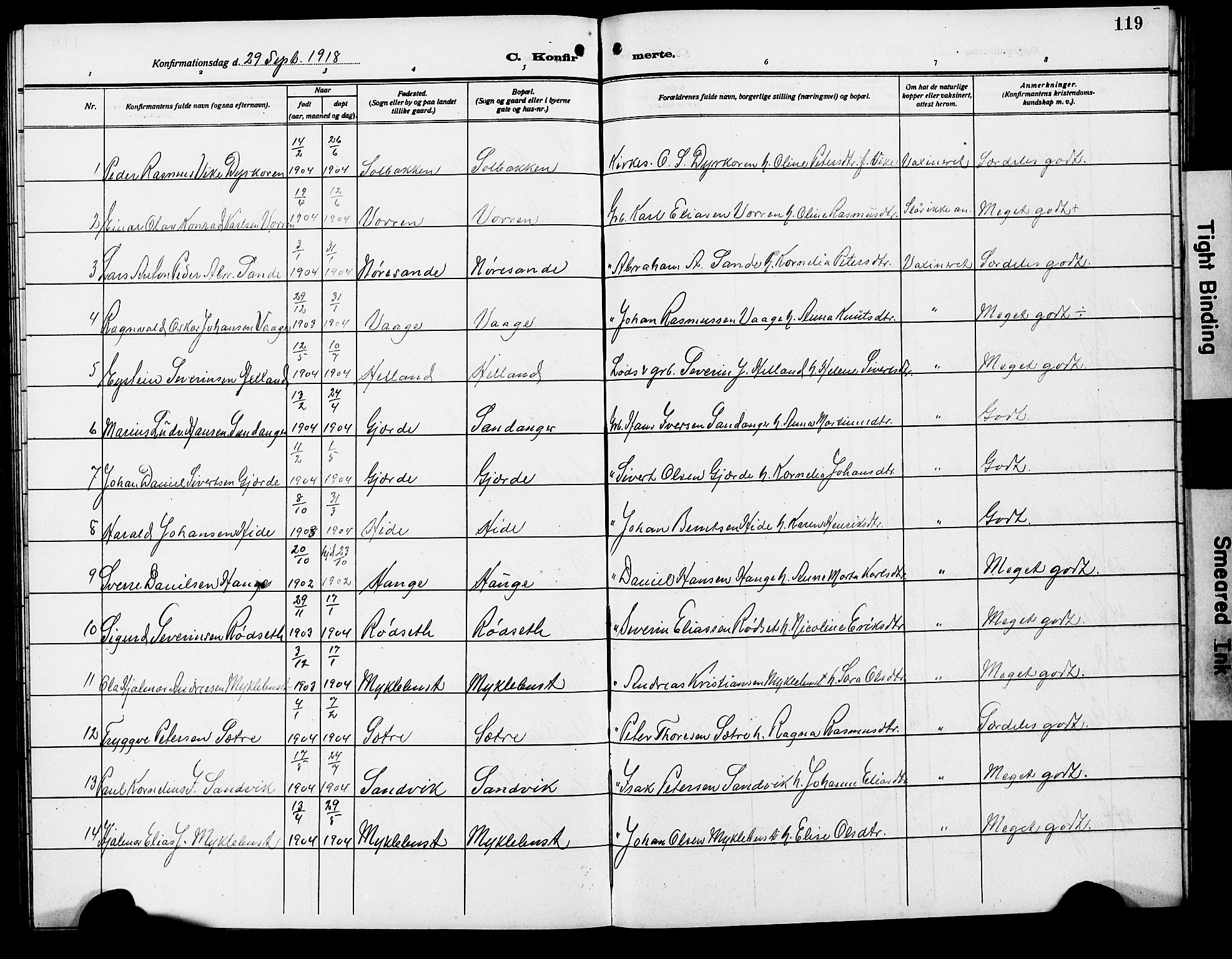 Ministerialprotokoller, klokkerbøker og fødselsregistre - Møre og Romsdal, AV/SAT-A-1454/503/L0050: Parish register (copy) no. 503C05, 1909-1922, p. 119