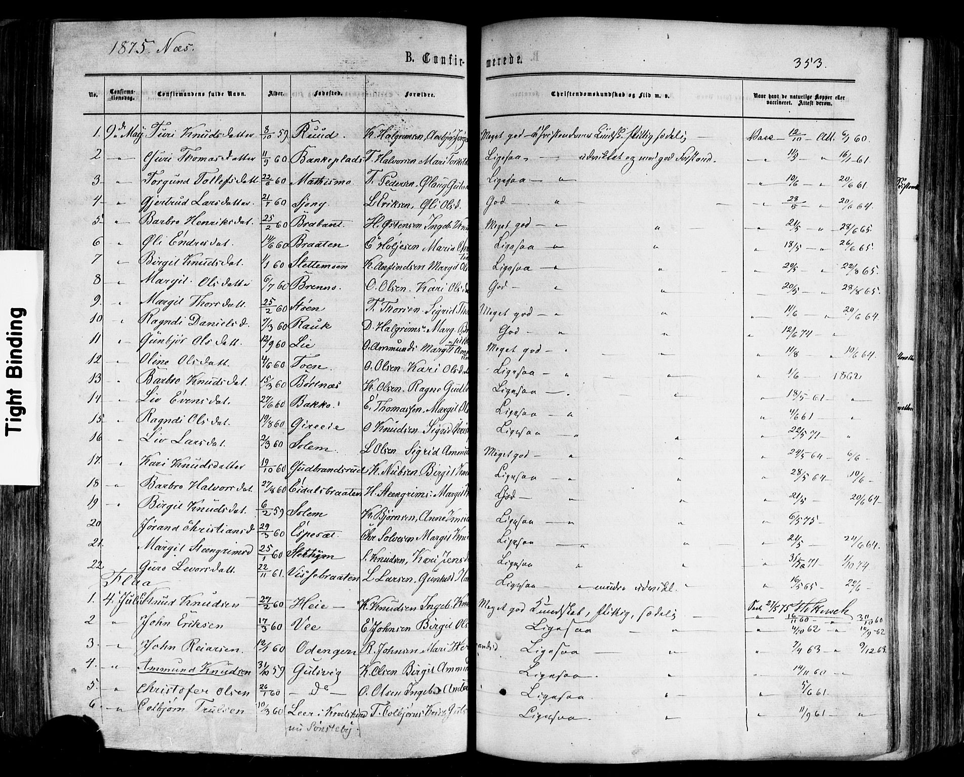 Nes kirkebøker, AV/SAKO-A-236/F/Fa/L0010: Parish register (official) no. 10, 1864-1880, p. 353