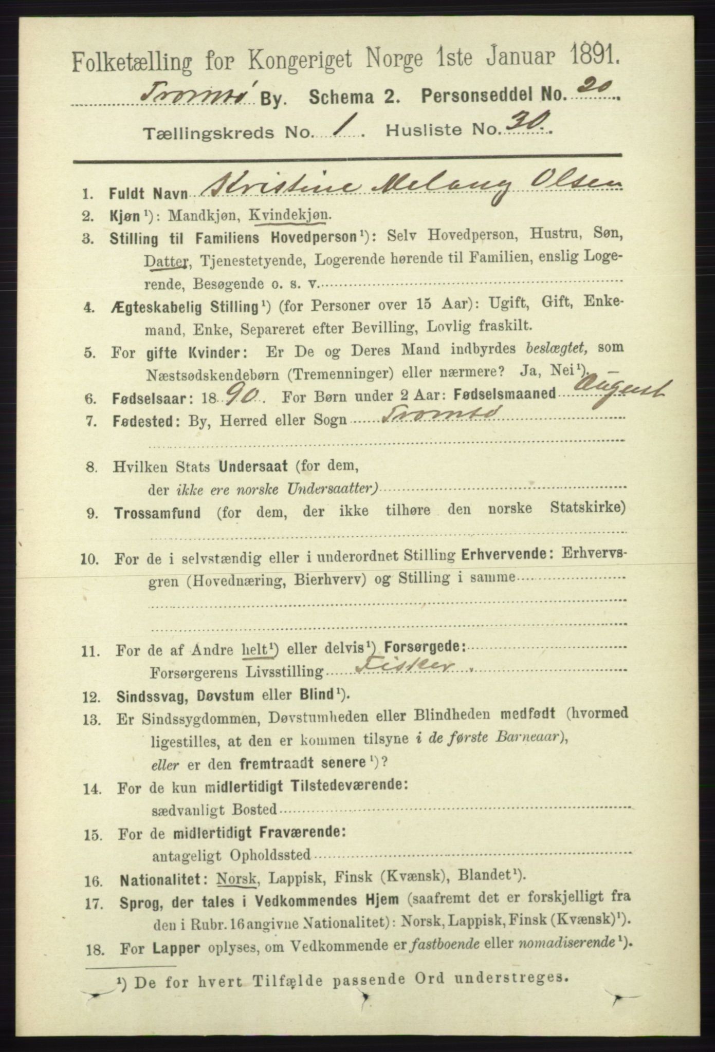 RA, 1891 census for 1902 Tromsø, 1891, p. 534