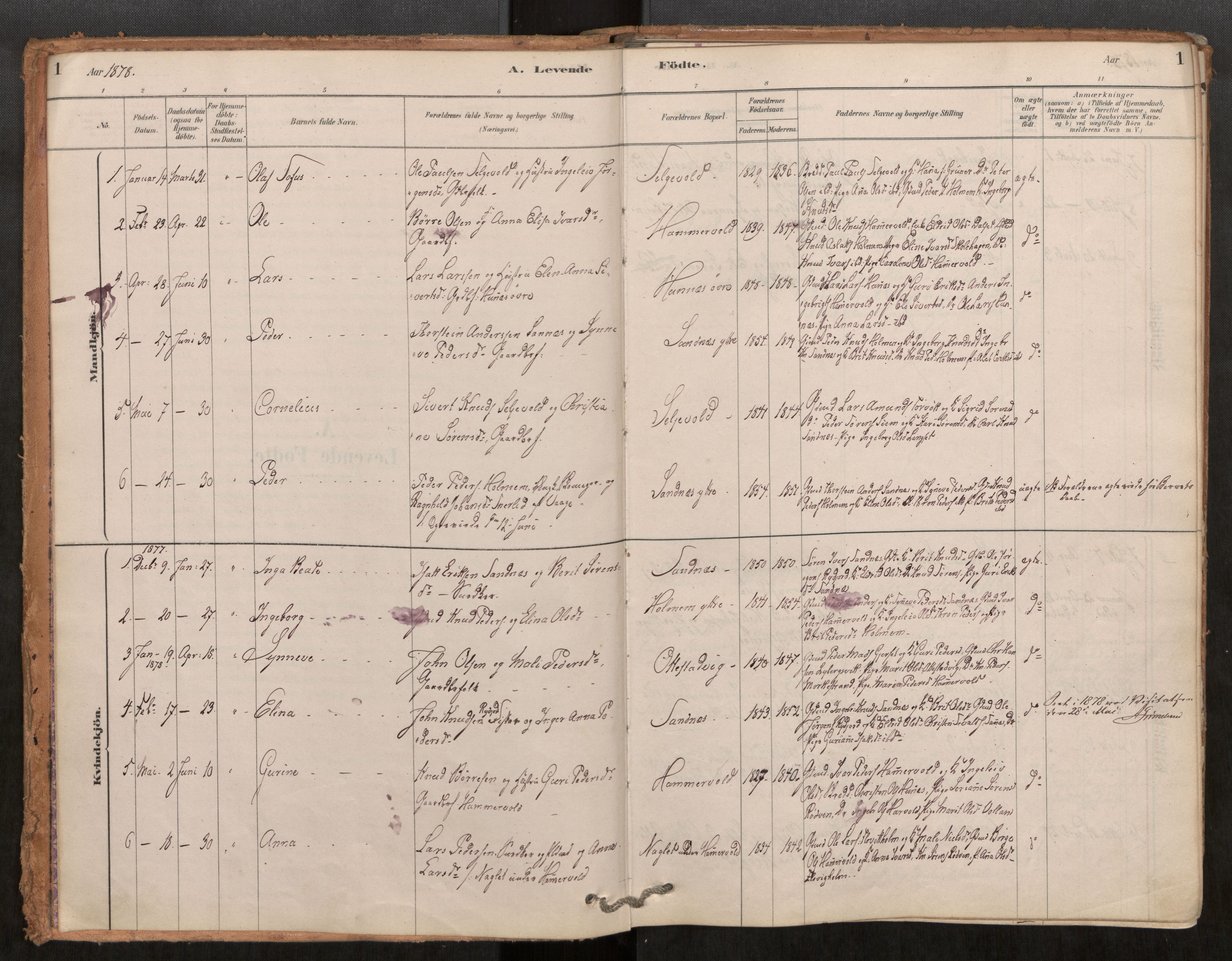 Ministerialprotokoller, klokkerbøker og fødselsregistre - Møre og Romsdal, AV/SAT-A-1454/548/L0615: Parish register (official) no. 548A02, 1878-1906, p. 1