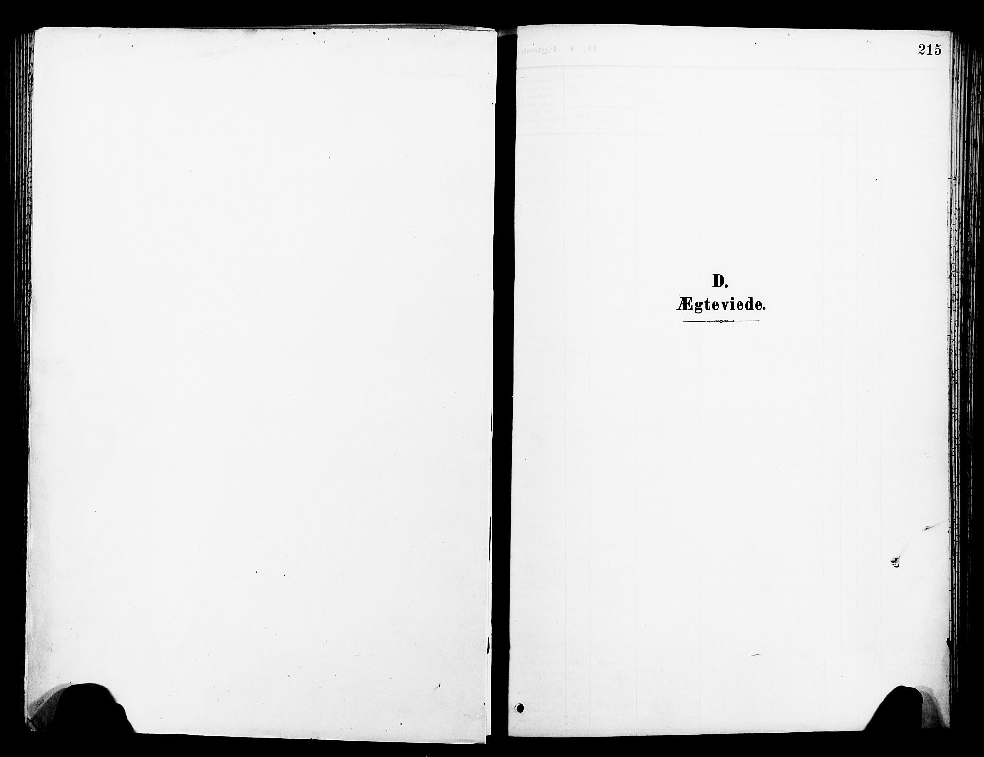 Ministerialprotokoller, klokkerbøker og fødselsregistre - Sør-Trøndelag, SAT/A-1456/681/L0942: Parish register (copy) no. 681C06, 1906-1925, p. 215