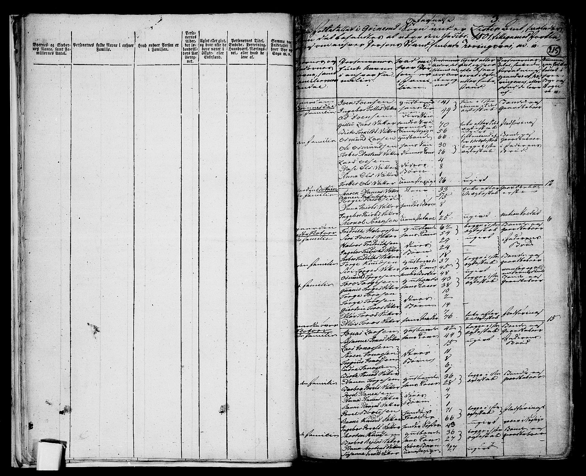 RA, 1801 census for 1024P Bjelland, 1801, p. 214b-215a