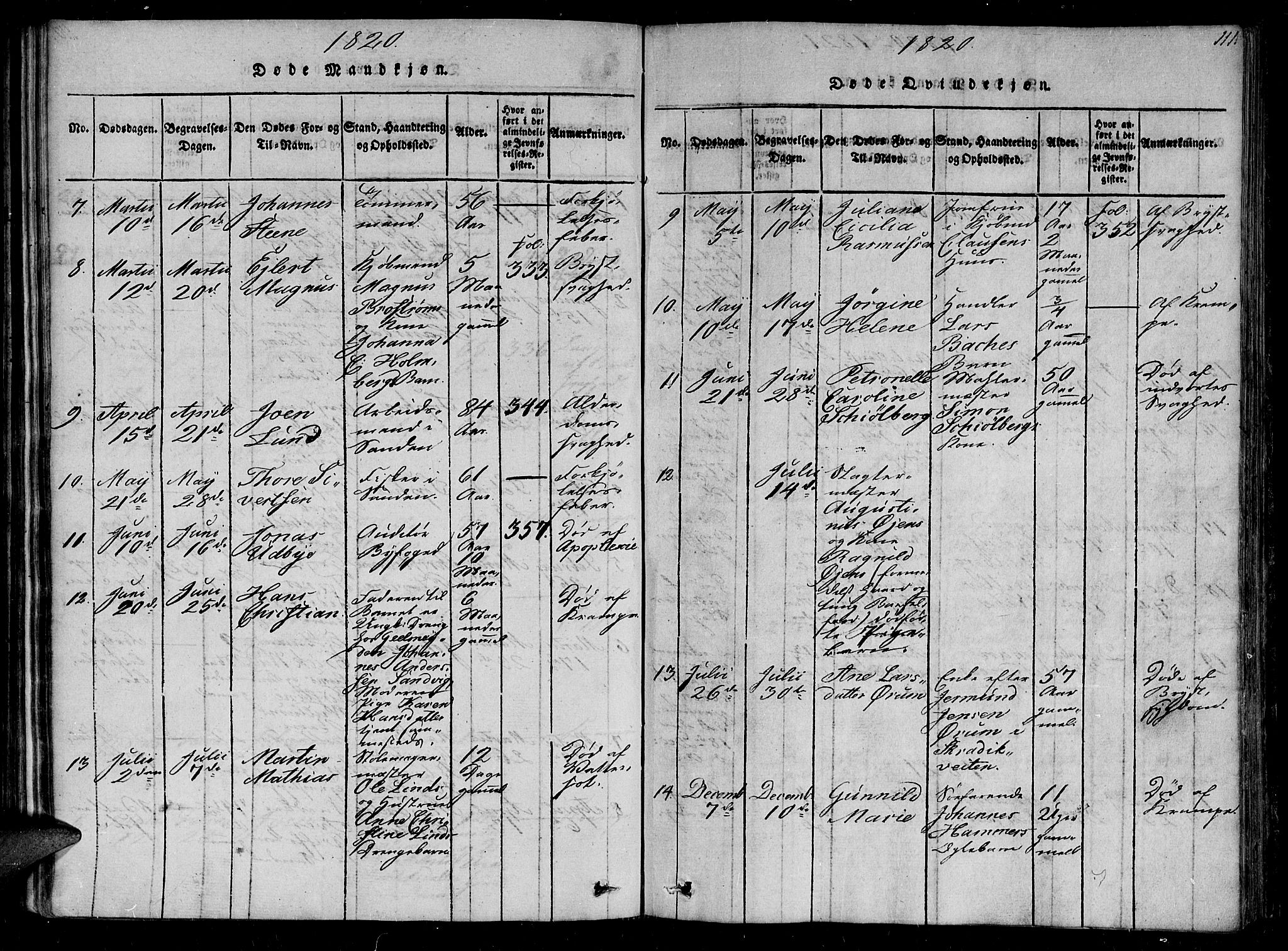 Ministerialprotokoller, klokkerbøker og fødselsregistre - Sør-Trøndelag, AV/SAT-A-1456/602/L0107: Parish register (official) no. 602A05, 1815-1821, p. 111