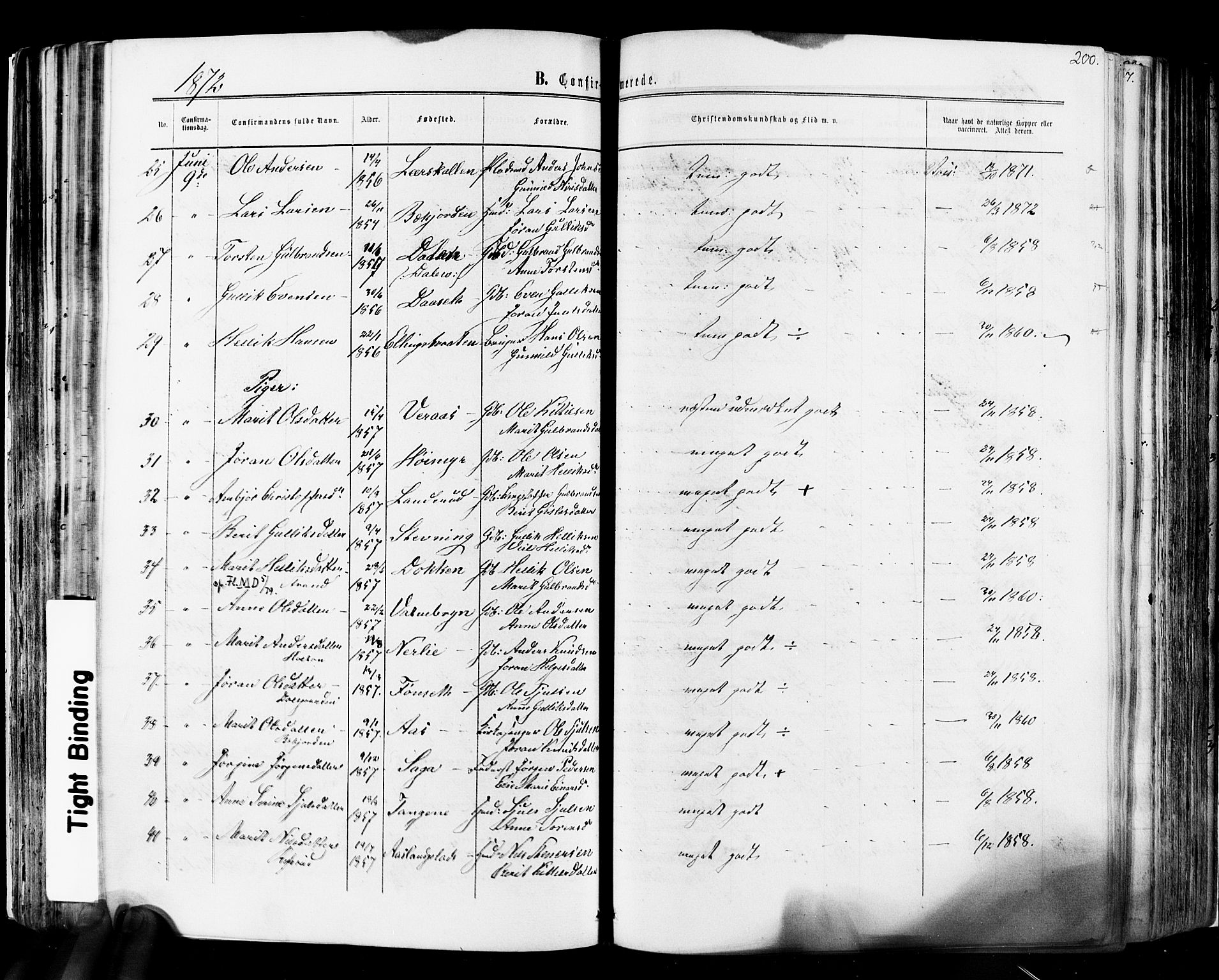 Flesberg kirkebøker, SAKO/A-18/F/Fa/L0007: Parish register (official) no. I 7, 1861-1878, p. 200