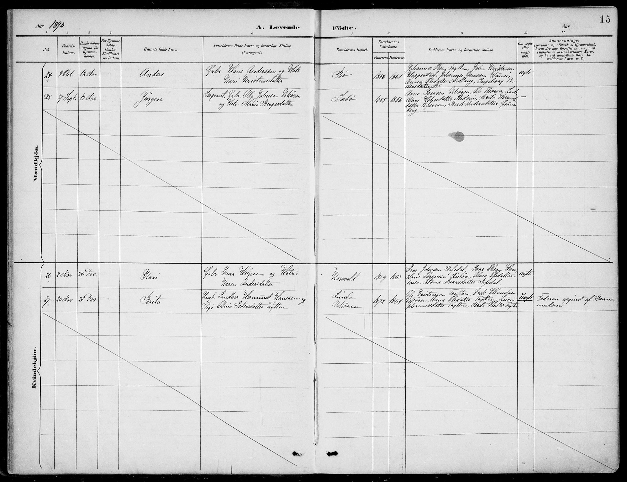 Vik sokneprestembete, AV/SAB-A-81501/H/Haa/Haab/L0002: Parish register (official) no. B  2, 1891-1907, p. 15