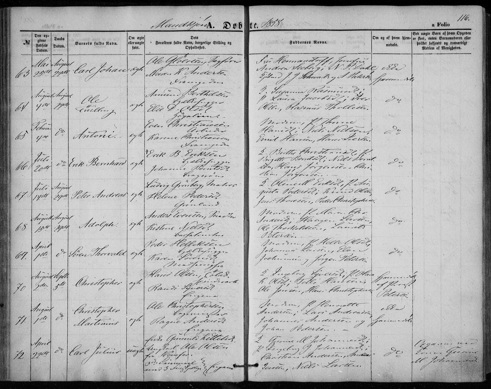 Bragernes kirkebøker, AV/SAKO-A-6/F/Fb/L0002: Parish register (official) no. II 2, 1848-1859, p. 116