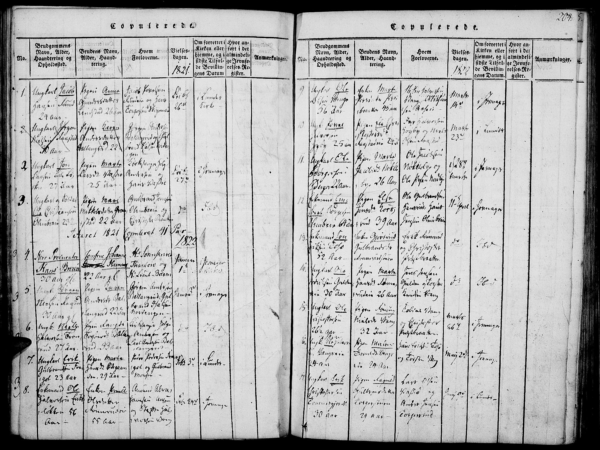 Jevnaker prestekontor, SAH/PREST-116/H/Ha/Haa/L0005: Parish register (official) no. 5, 1815-1837, p. 204