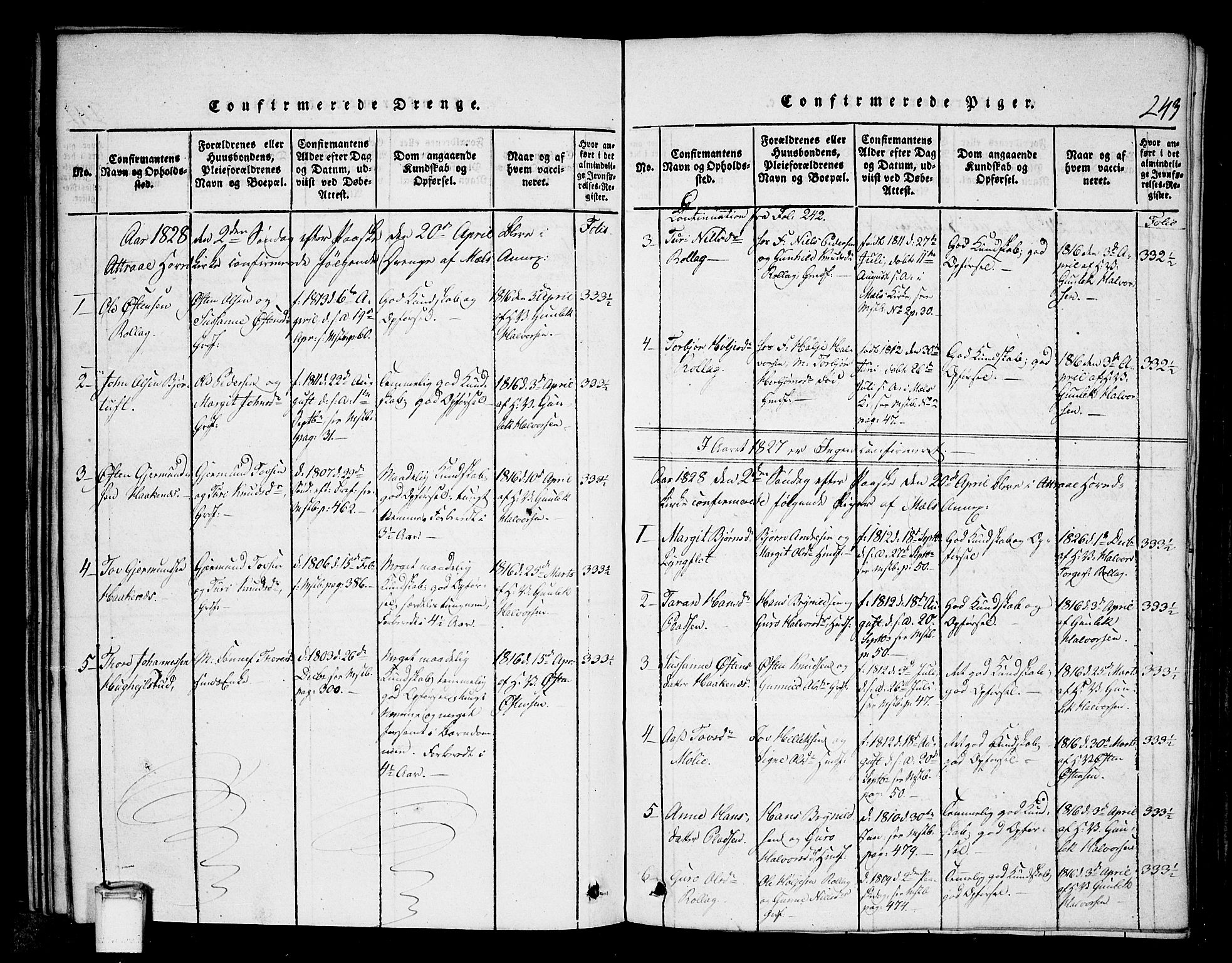 Tinn kirkebøker, SAKO/A-308/G/Gb/L0001: Parish register (copy) no. II 1 /1, 1815-1850, p. 243