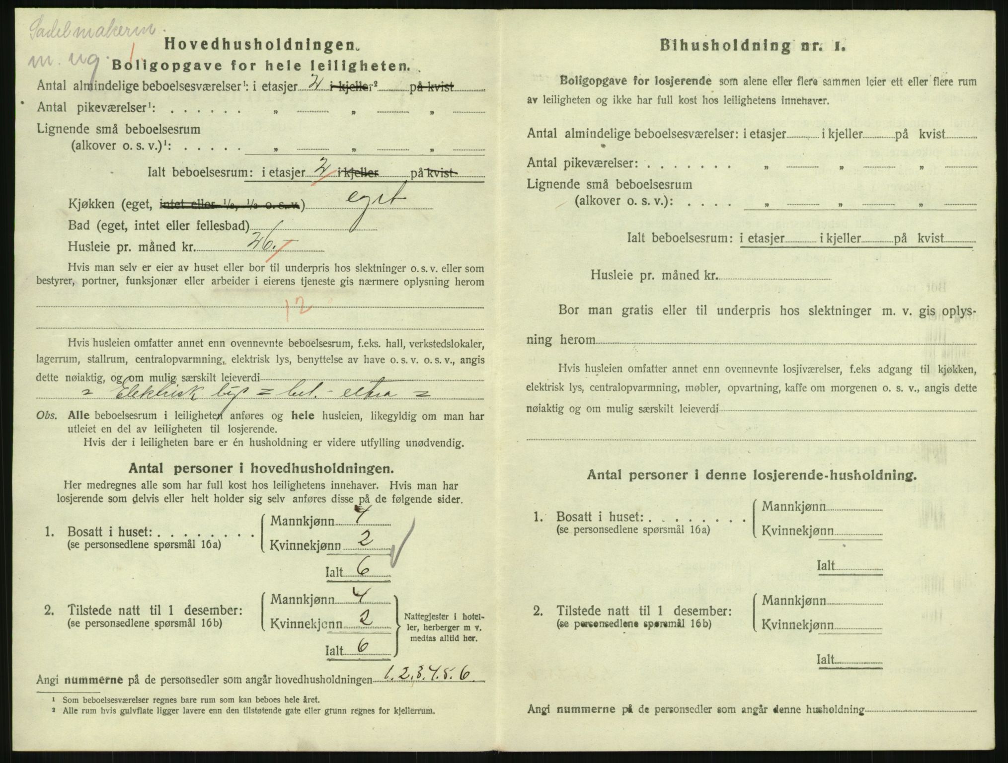 SAH, 1920 census for Gjøvik, 1920, p. 1175
