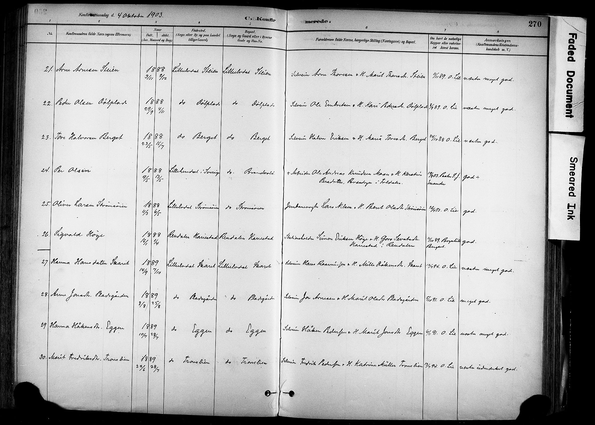 Alvdal prestekontor, AV/SAH-PREST-060/H/Ha/Haa/L0002: Parish register (official) no. 2, 1883-1906, p. 270