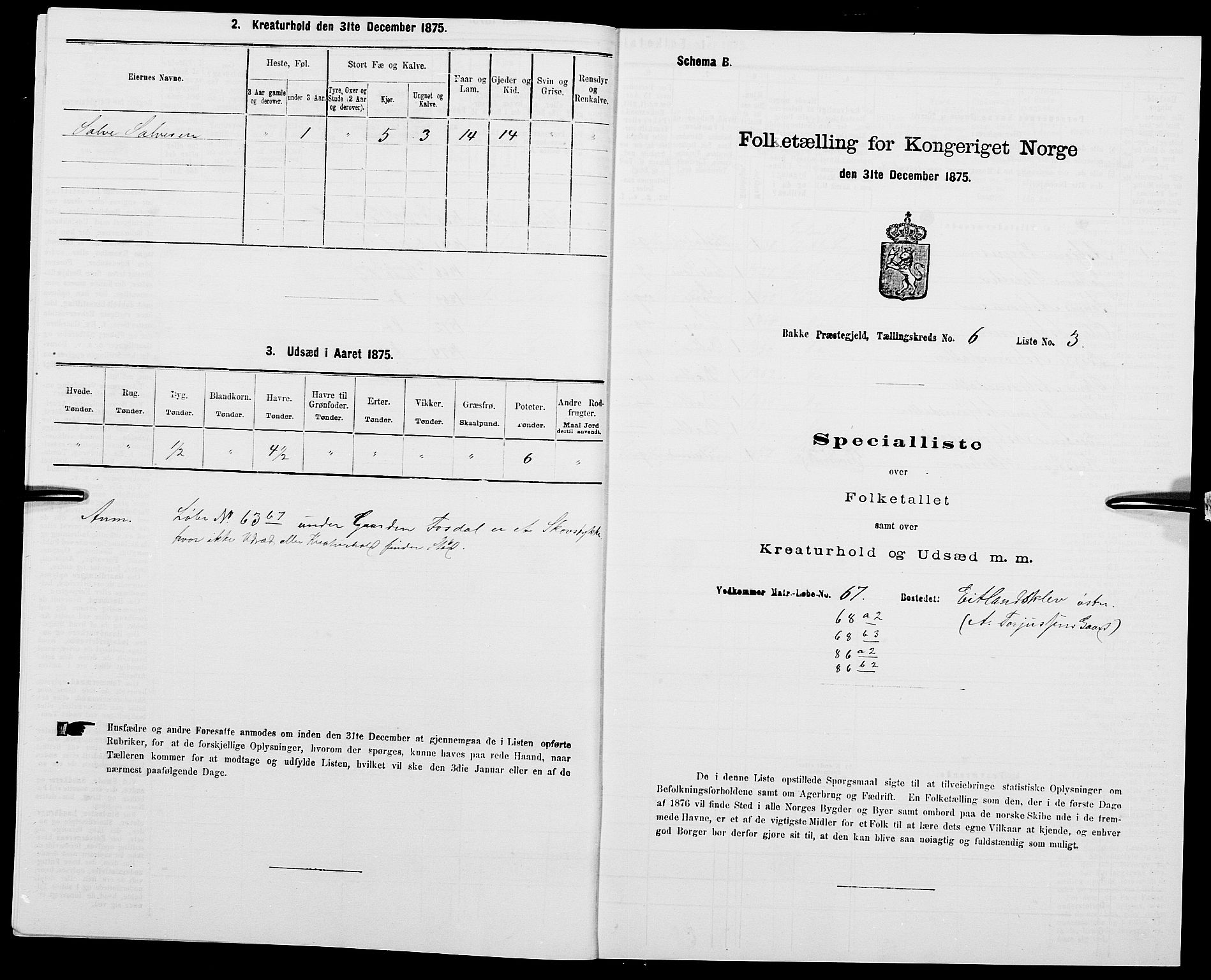 SAK, 1875 census for 1045P Bakke, 1875, p. 569