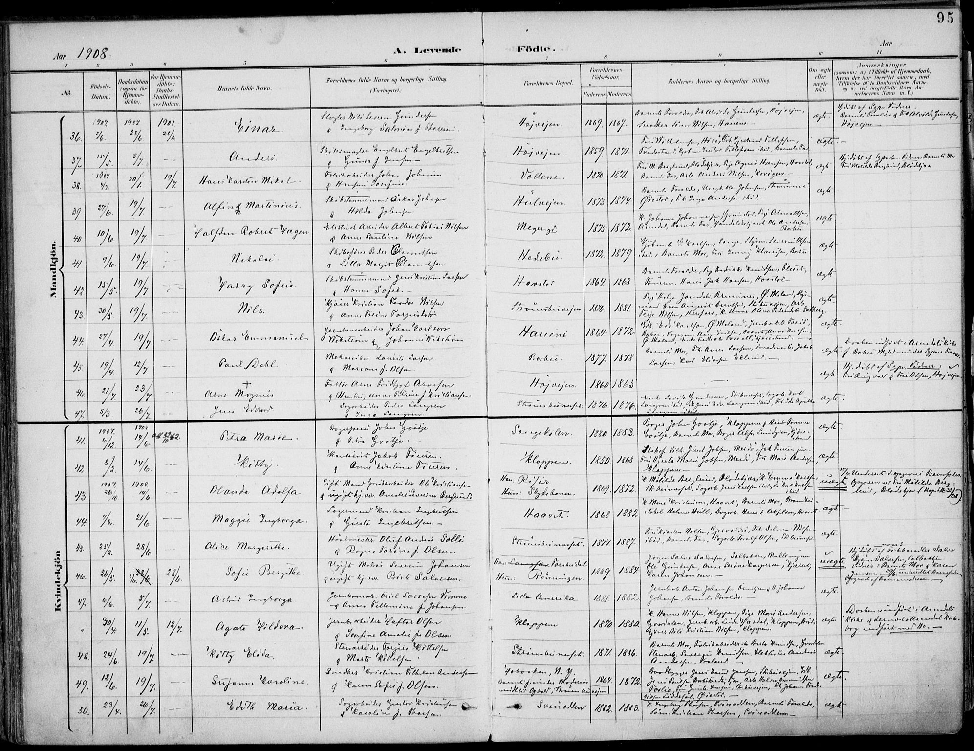 Barbu sokneprestkontor, AV/SAK-1111-0003/F/Fa/L0005: Parish register (official) no. A 5, 1899-1909, p. 95