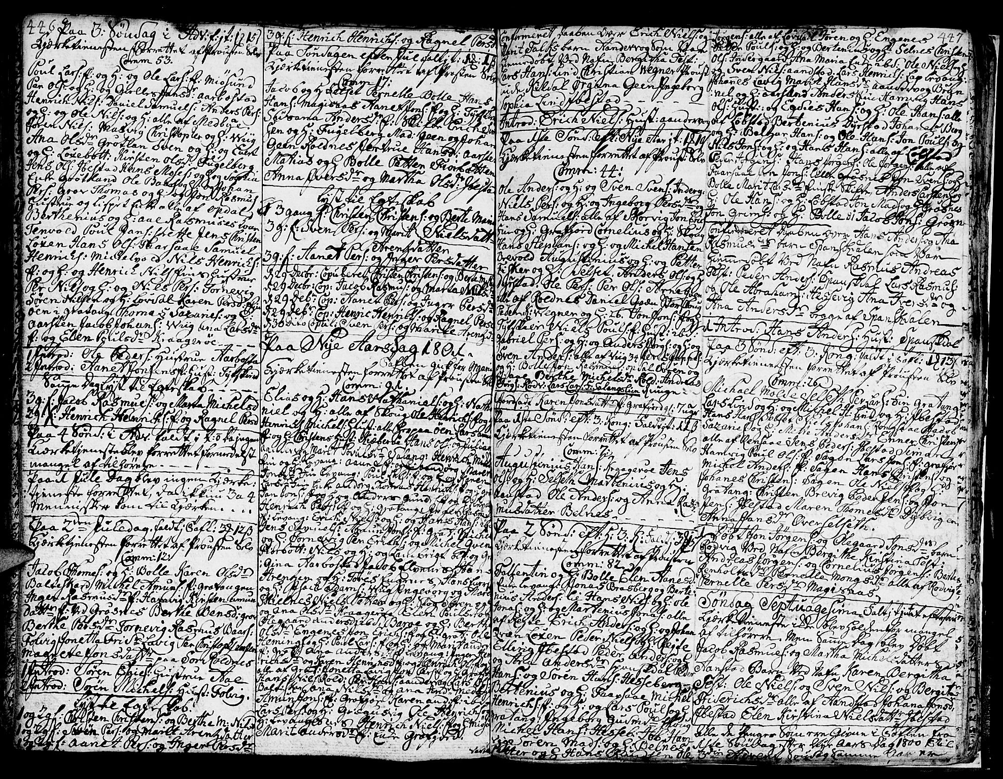 Ibestad sokneprestembete, SATØ/S-0077/H/Ha/Hab/L0001klokker: Parish register (copy) no. 1, 1776-1808, p. 446-447