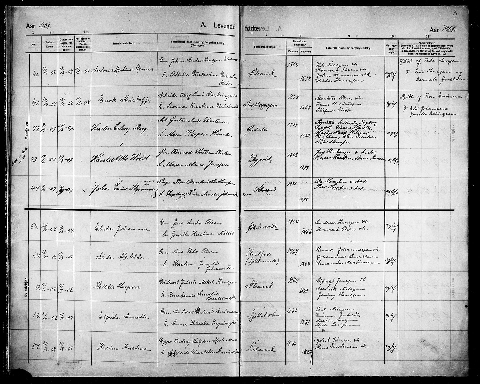 Ministerialprotokoller, klokkerbøker og fødselsregistre - Nordland, AV/SAT-A-1459/863/L0916: Parish register (copy) no. 863C06, 1907-1921, p. 3