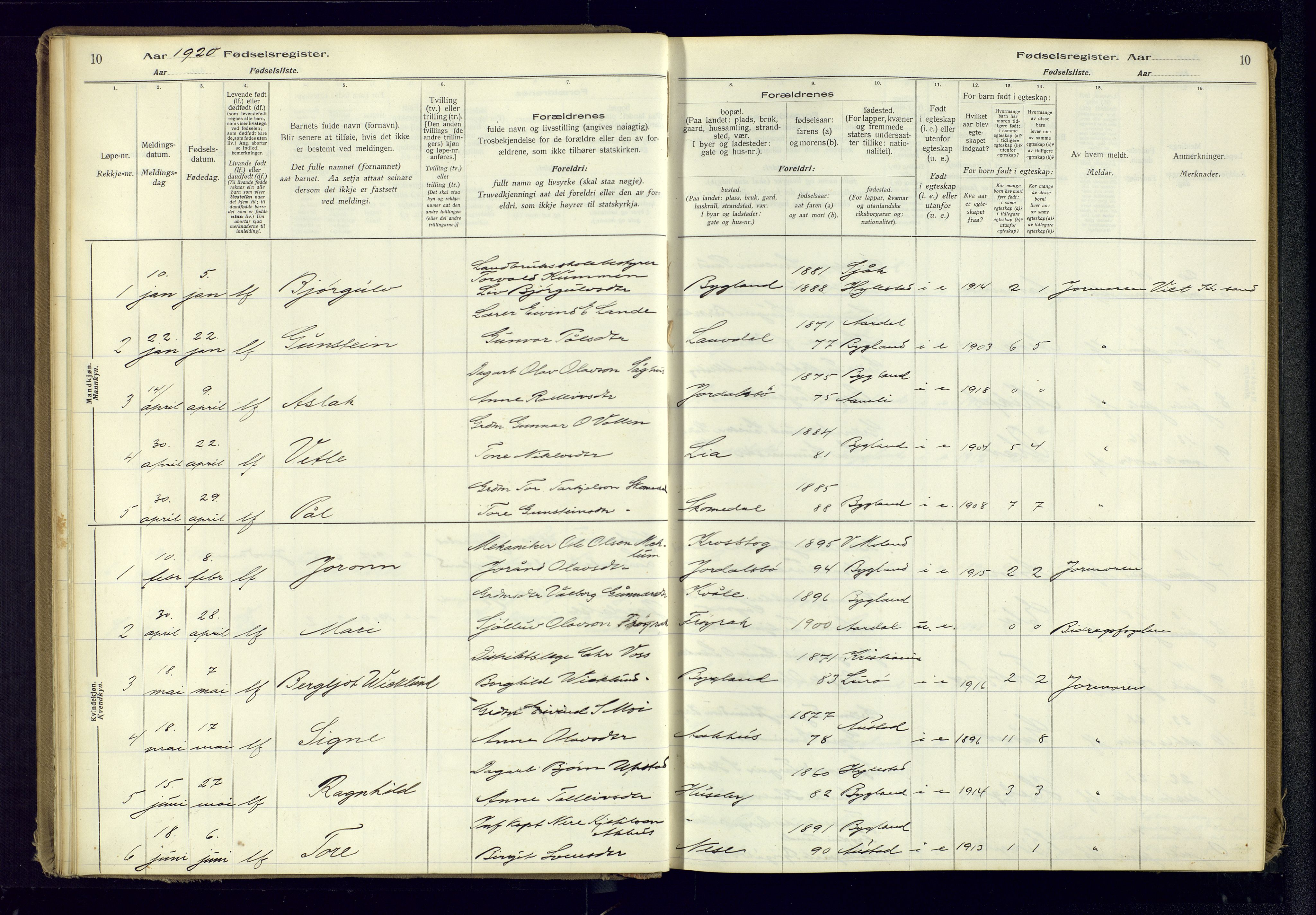 Bygland sokneprestkontor, AV/SAK-1111-0006/J/Ja/L0001: Birth register no. II.4.2, 1916-1982, p. 10