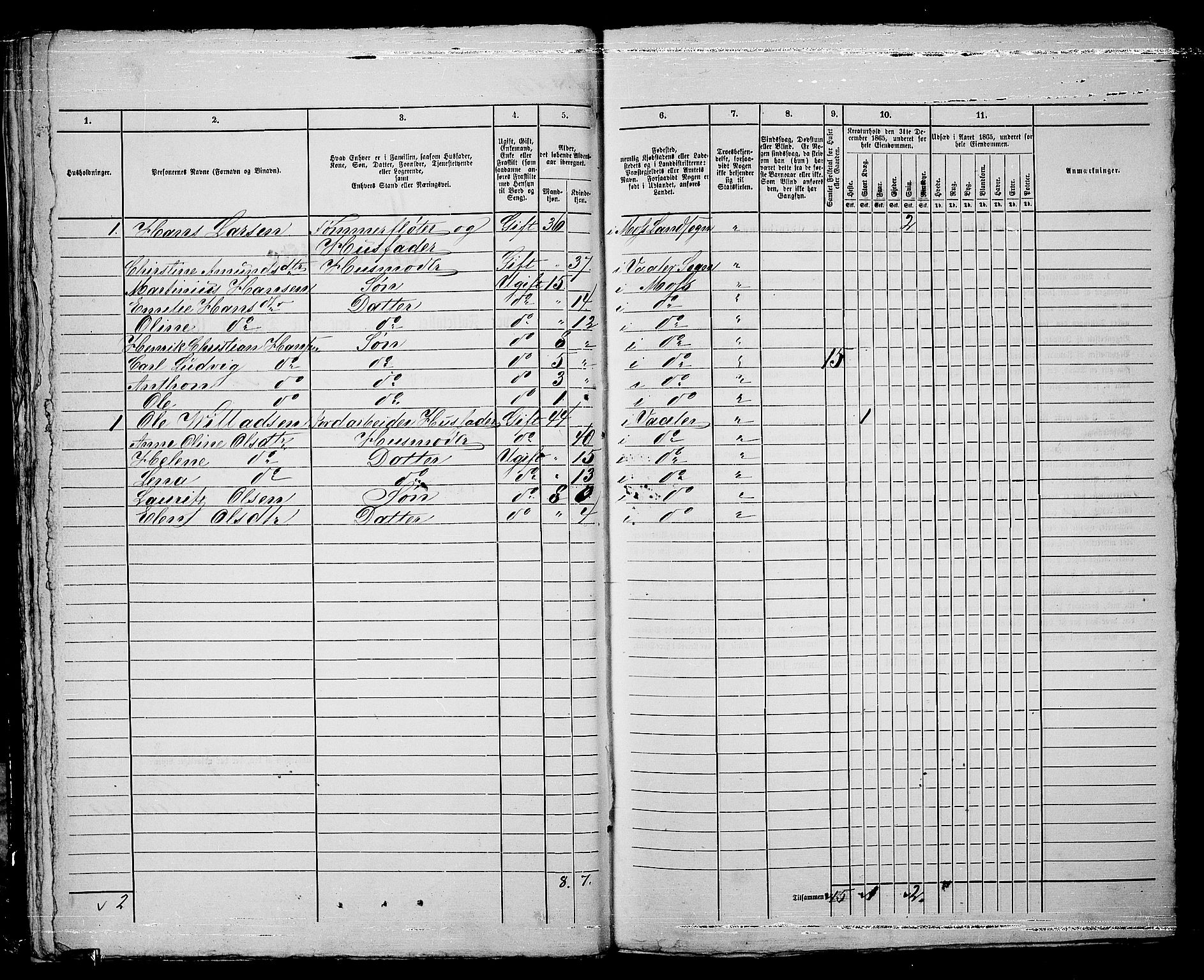 RA, 1865 census for Moss/Moss, 1865, p. 374