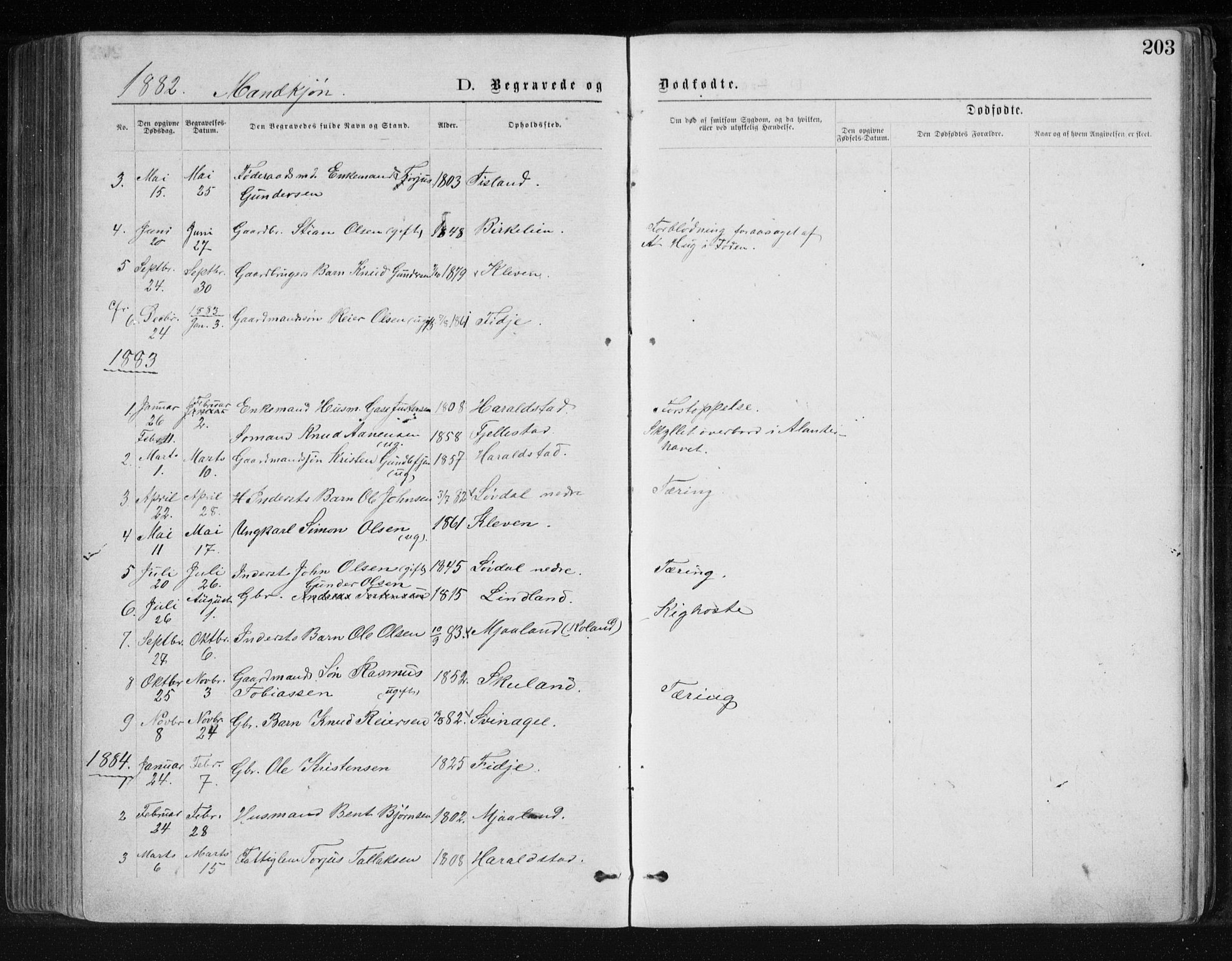 Holum sokneprestkontor, SAK/1111-0022/F/Fb/Fbb/L0003: Parish register (copy) no. B 3, 1875-1898, p. 203
