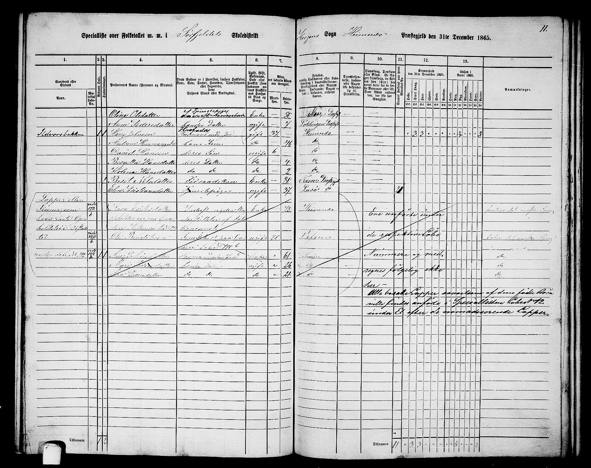 RA, 1865 census for Hemnes, 1865, p. 139