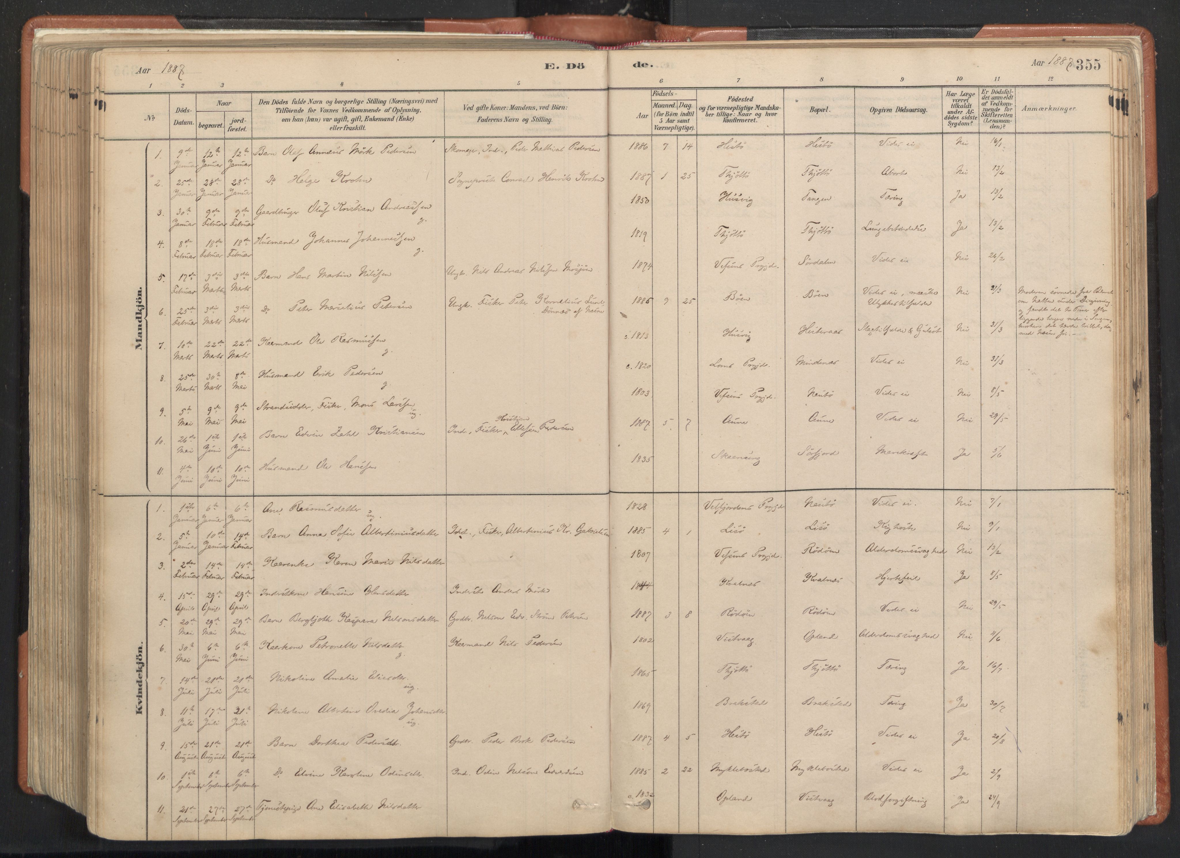 Ministerialprotokoller, klokkerbøker og fødselsregistre - Nordland, AV/SAT-A-1459/817/L0264: Parish register (official) no. 817A04, 1878-1907, p. 355