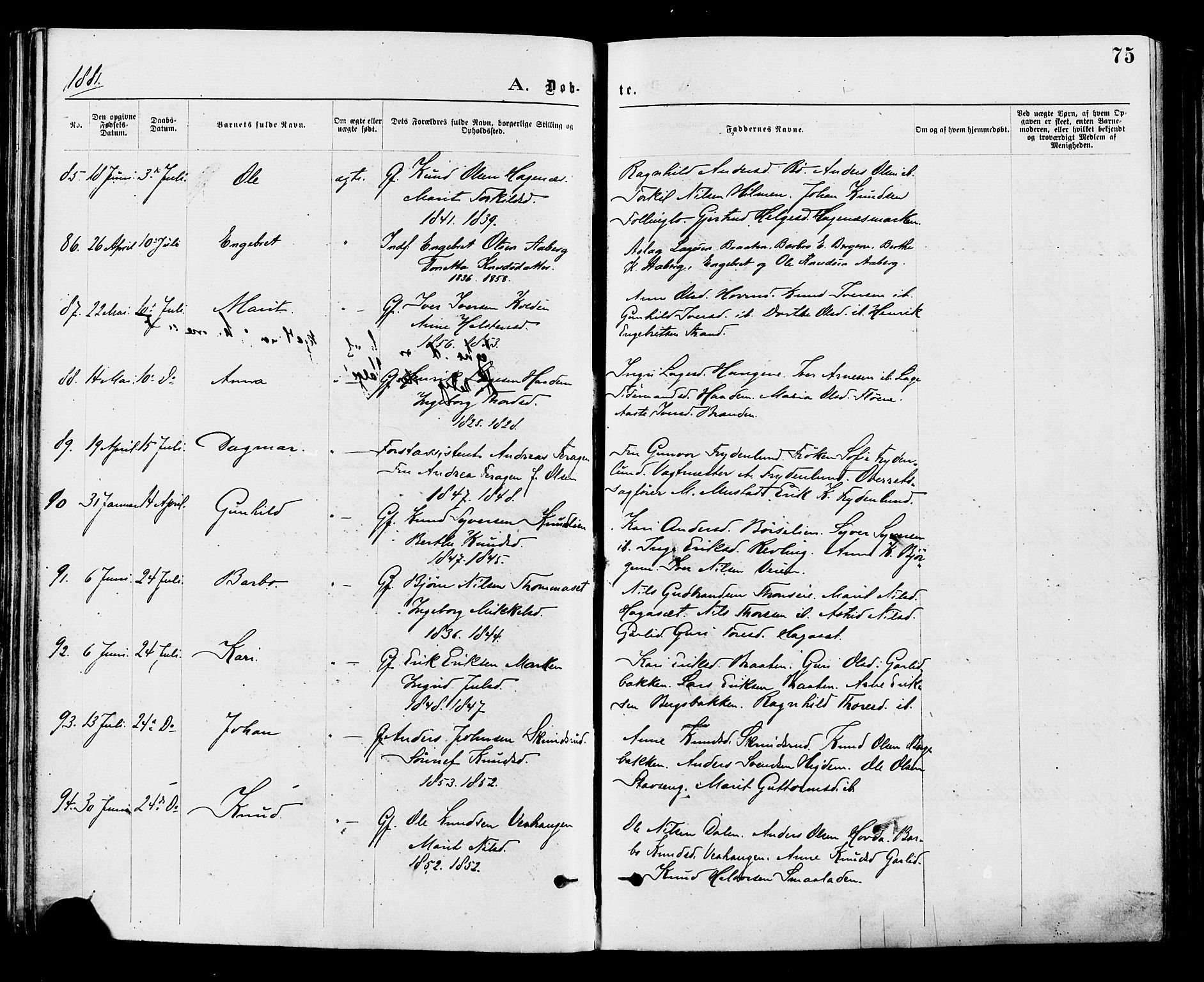 Nord-Aurdal prestekontor, SAH/PREST-132/H/Ha/Haa/L0009: Parish register (official) no. 9, 1876-1882, p. 75