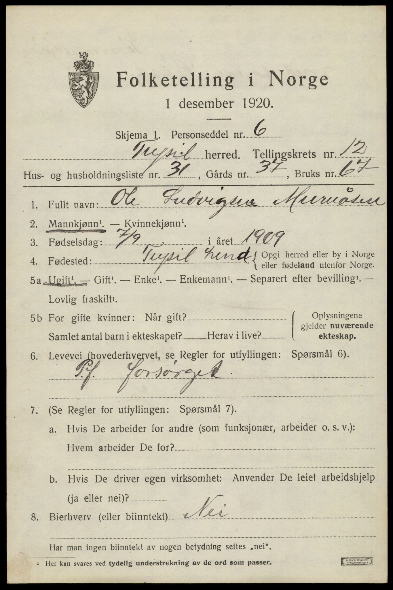 SAH, 1920 census for Trysil, 1920, p. 7557