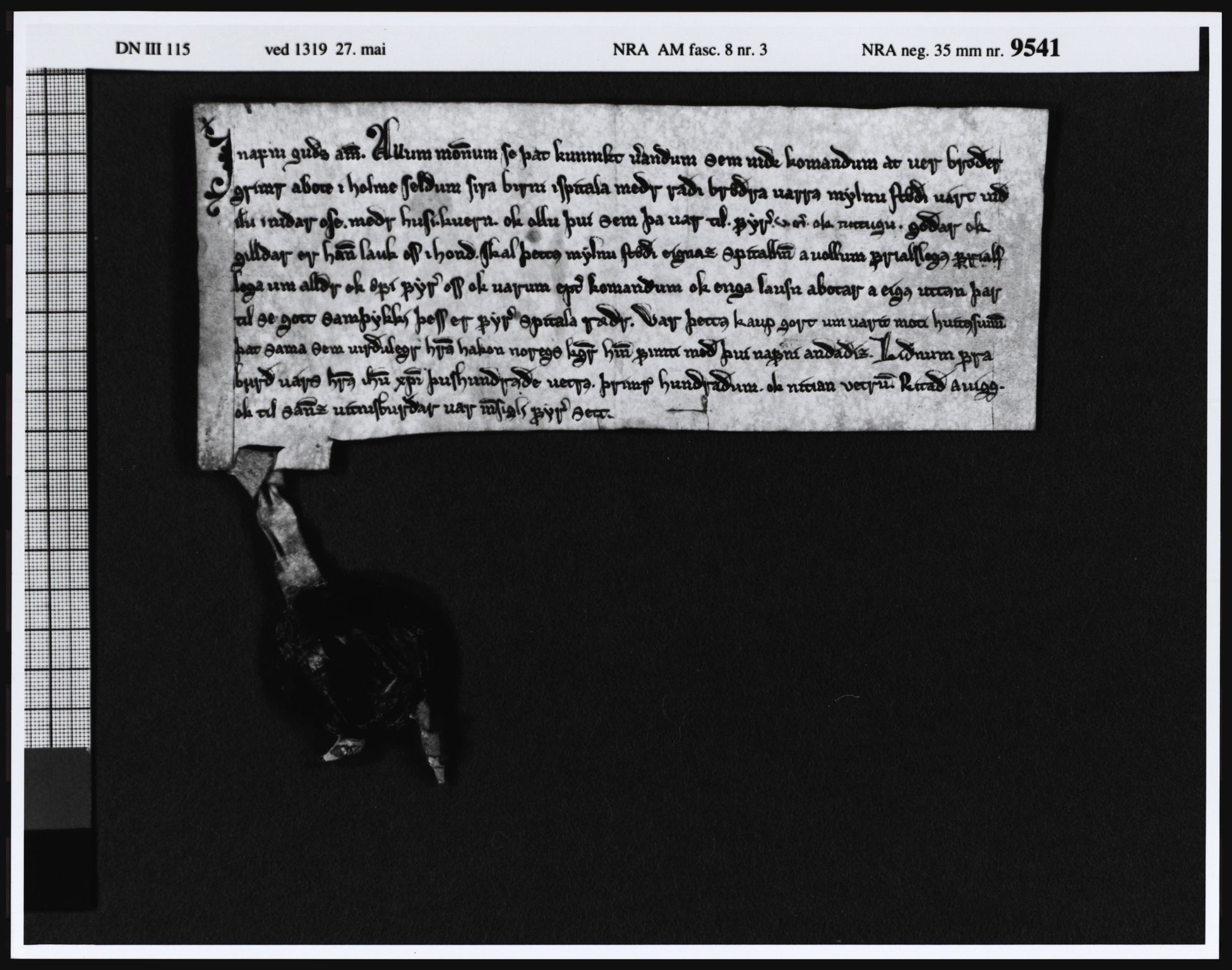 Riksarkivets diplomsamling, AV/RA-EA-5965/F05/L0028: NRA AM fasc. 8 nr. 1a-6, 1315-1324, p. 15