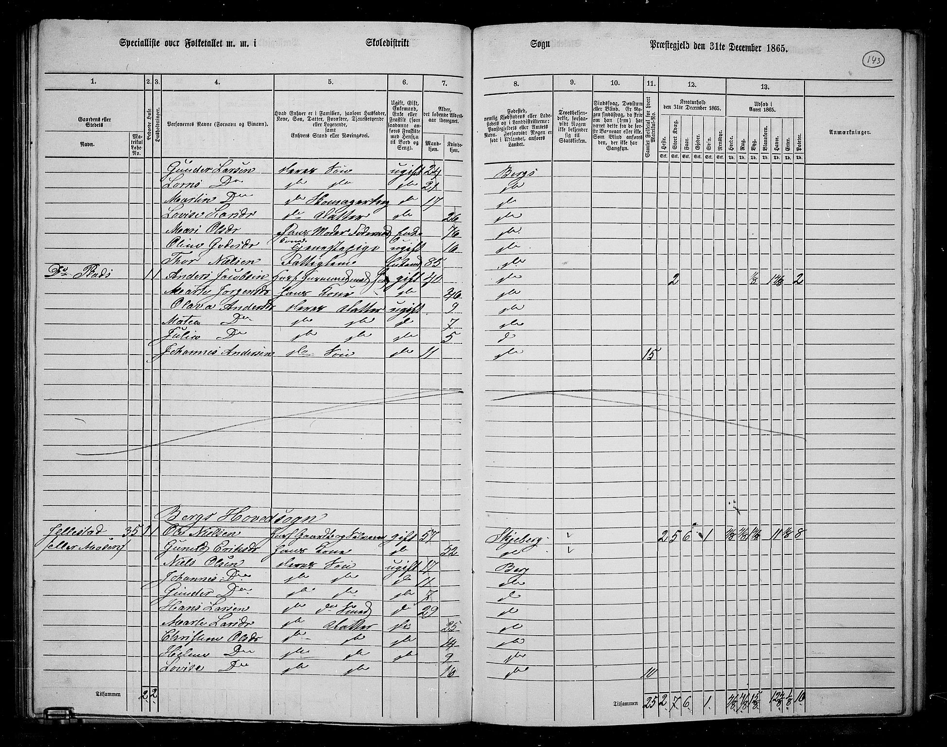 RA, 1865 census for Berg, 1865, p. 126