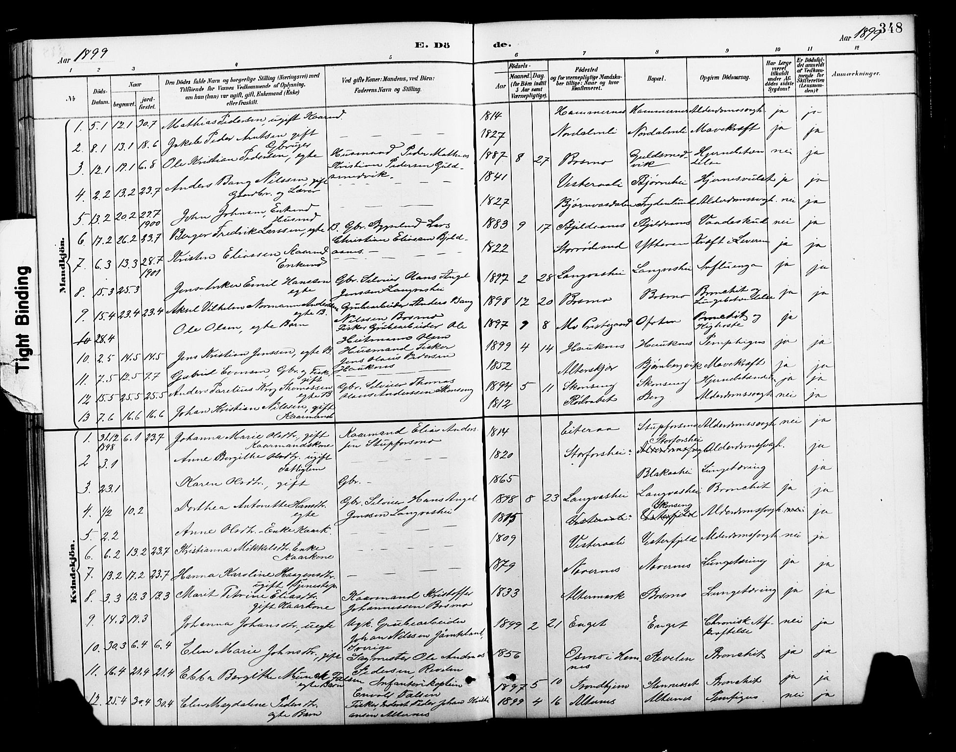 Ministerialprotokoller, klokkerbøker og fødselsregistre - Nordland, AV/SAT-A-1459/827/L0421: Parish register (copy) no. 827C10, 1887-1906, p. 348
