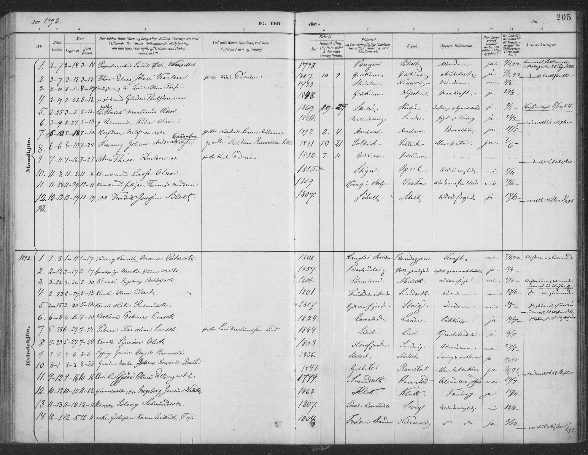 Ministerialprotokoller, klokkerbøker og fødselsregistre - Møre og Romsdal, AV/SAT-A-1454/522/L0316: Parish register (official) no. 522A11, 1890-1911, p. 205