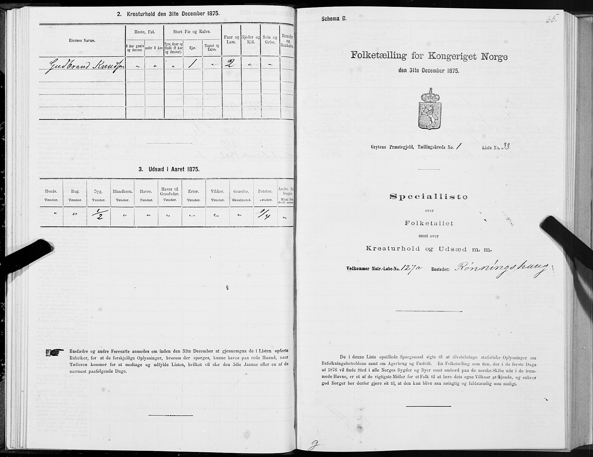 SAT, 1875 census for 1539P Grytten, 1875, p. 1065