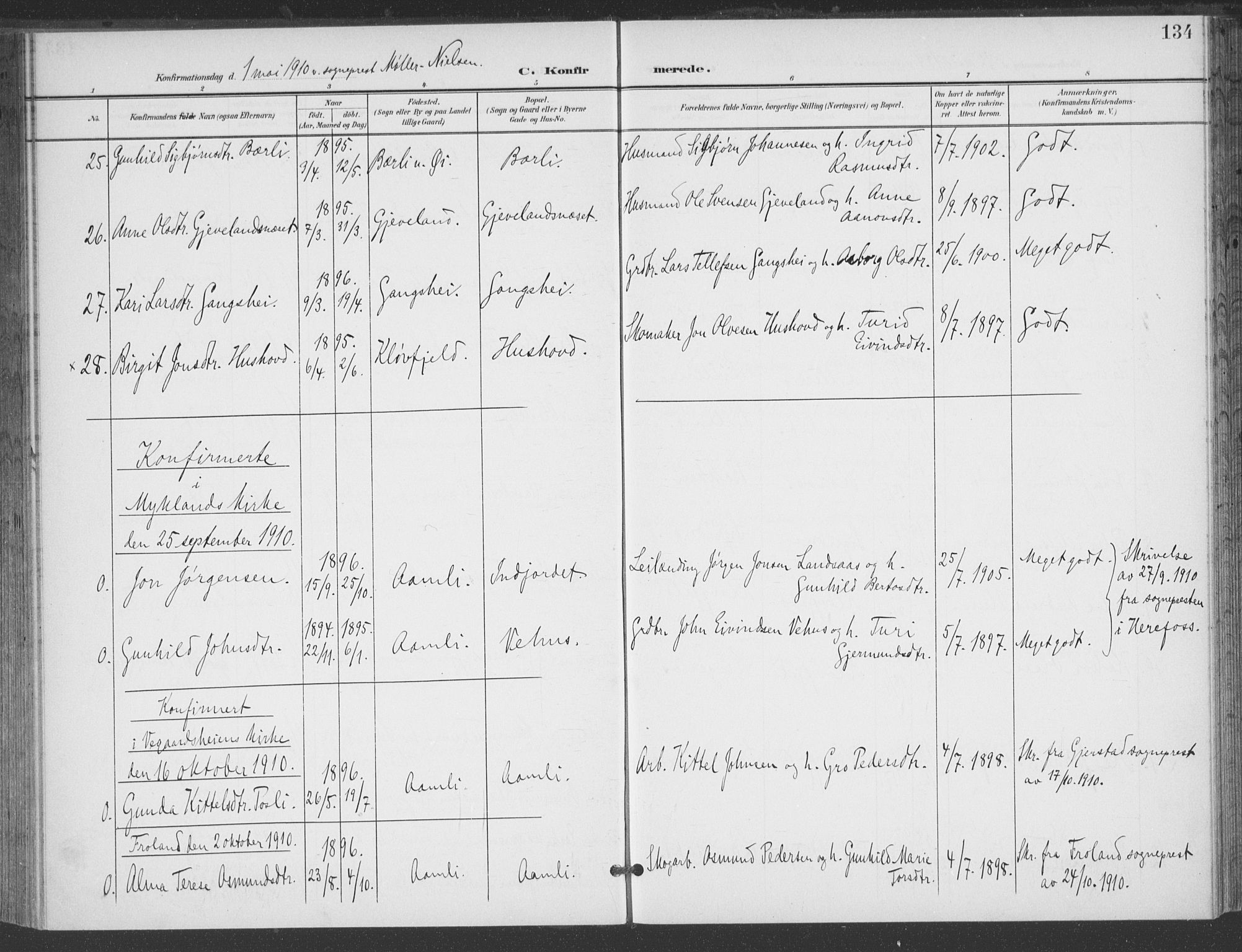 Åmli sokneprestkontor, AV/SAK-1111-0050/F/Fa/Fac/L0012: Parish register (official) no. A 12, 1900-1914, p. 134