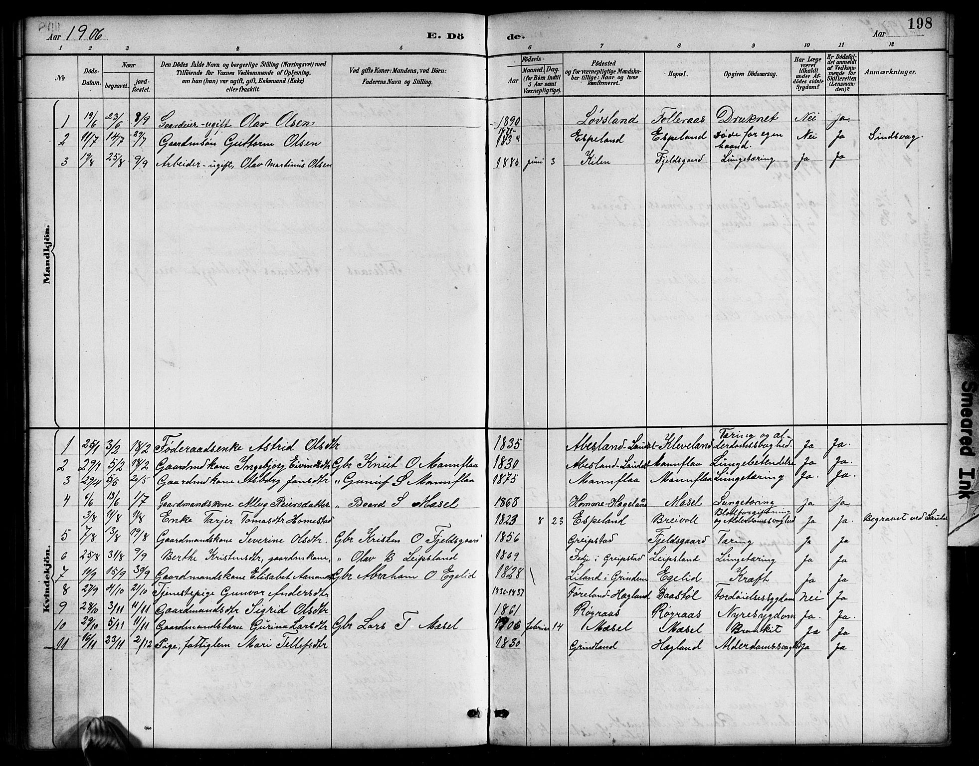 Bjelland sokneprestkontor, SAK/1111-0005/F/Fb/Fbb/L0005: Parish register (copy) no. B 5, 1887-1918, p. 198