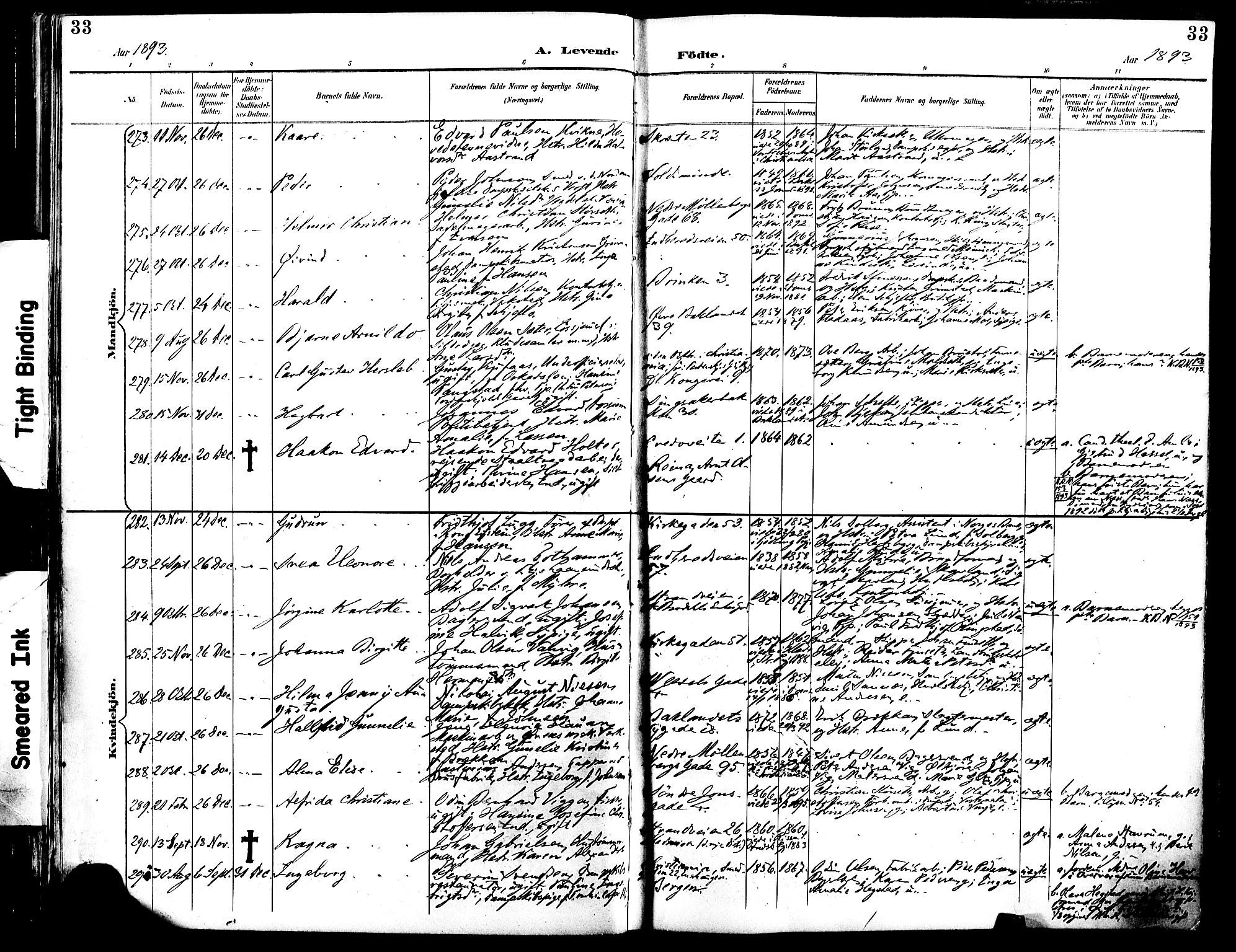 Ministerialprotokoller, klokkerbøker og fødselsregistre - Sør-Trøndelag, AV/SAT-A-1456/604/L0197: Parish register (official) no. 604A18, 1893-1900, p. 33