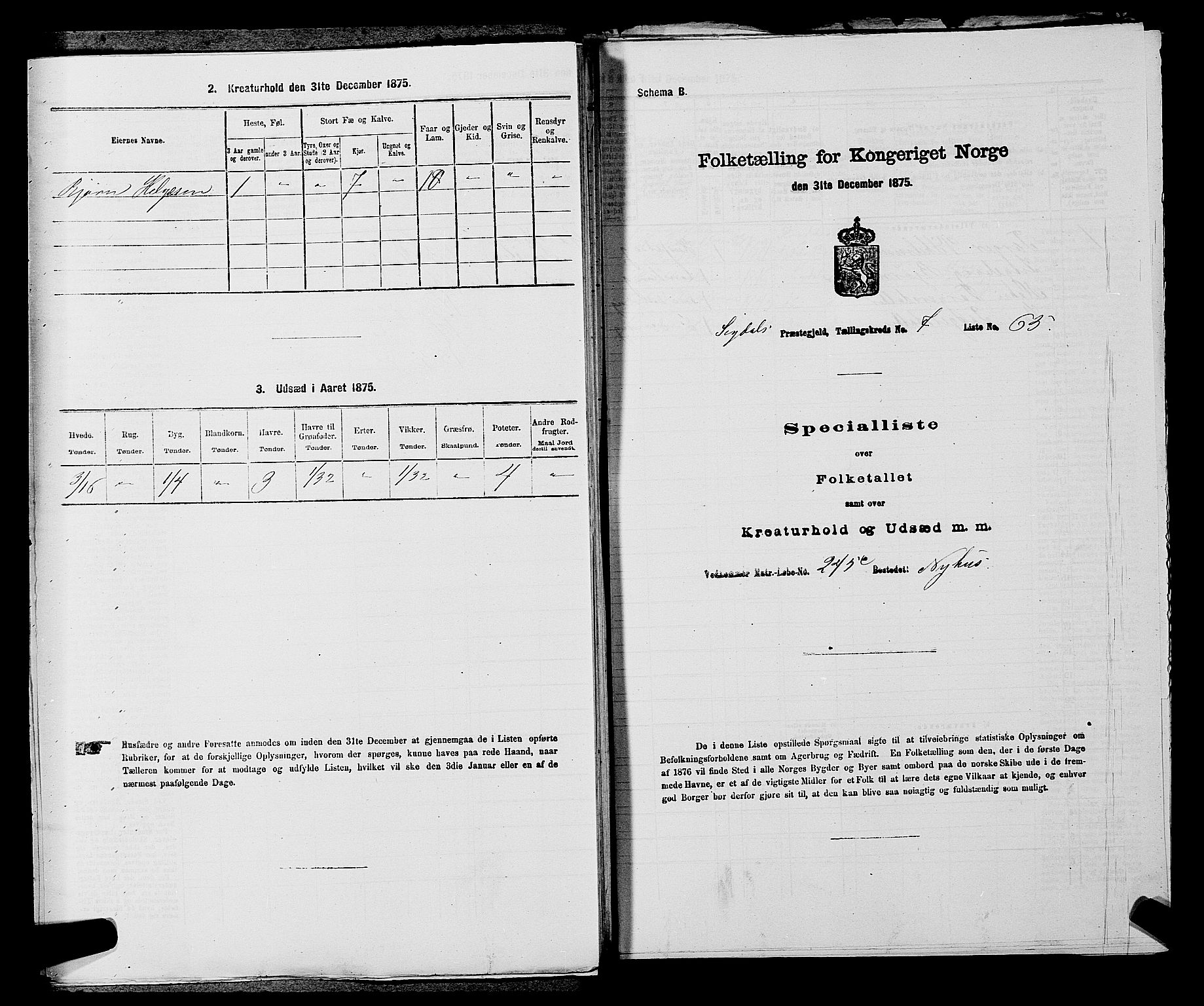 SAKO, 1875 census for 0621P Sigdal, 1875, p. 1125