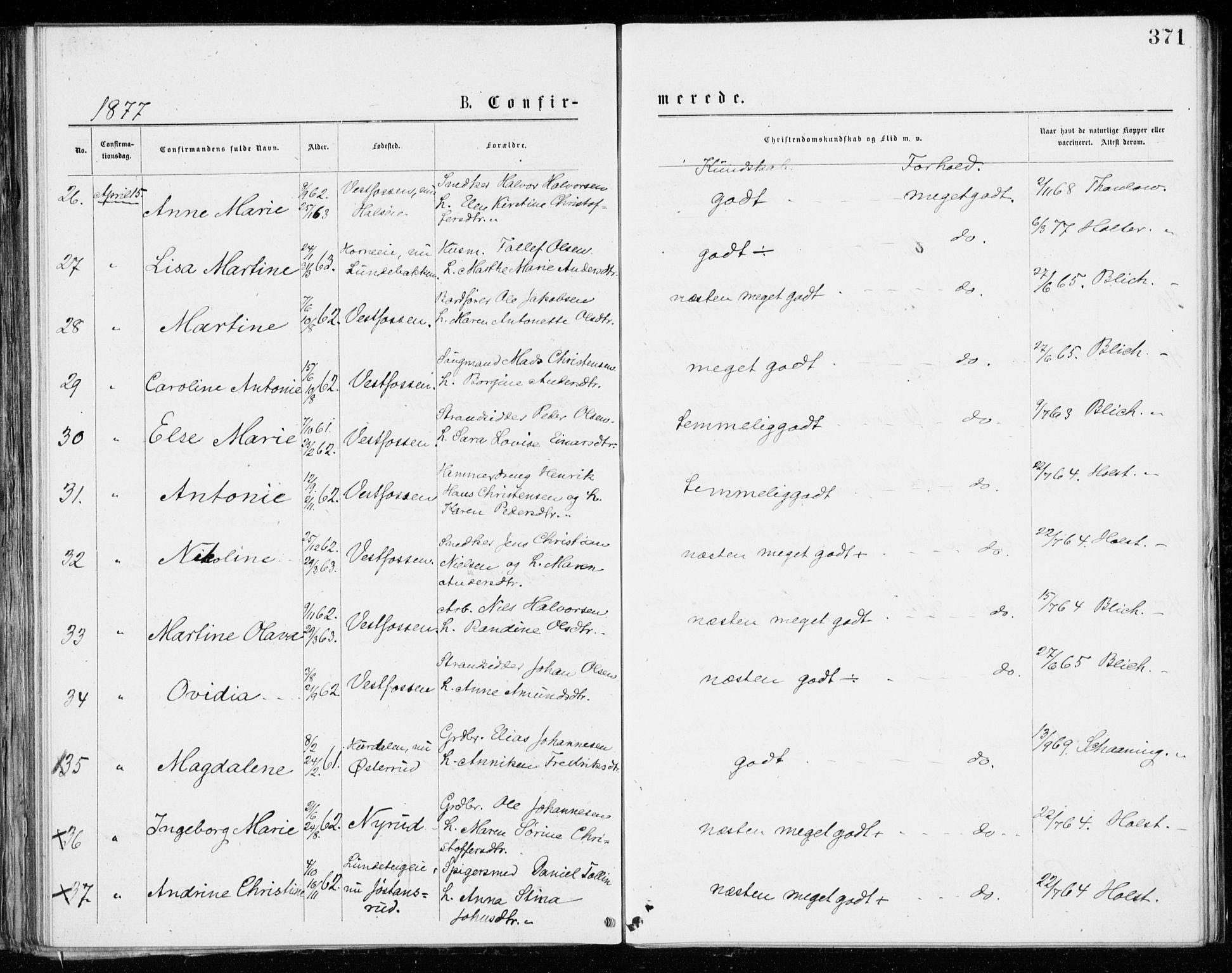 Eiker kirkebøker, SAKO/A-4/G/Ga/L0004: Parish register (copy) no. I 4, 1877-1877, p. 371