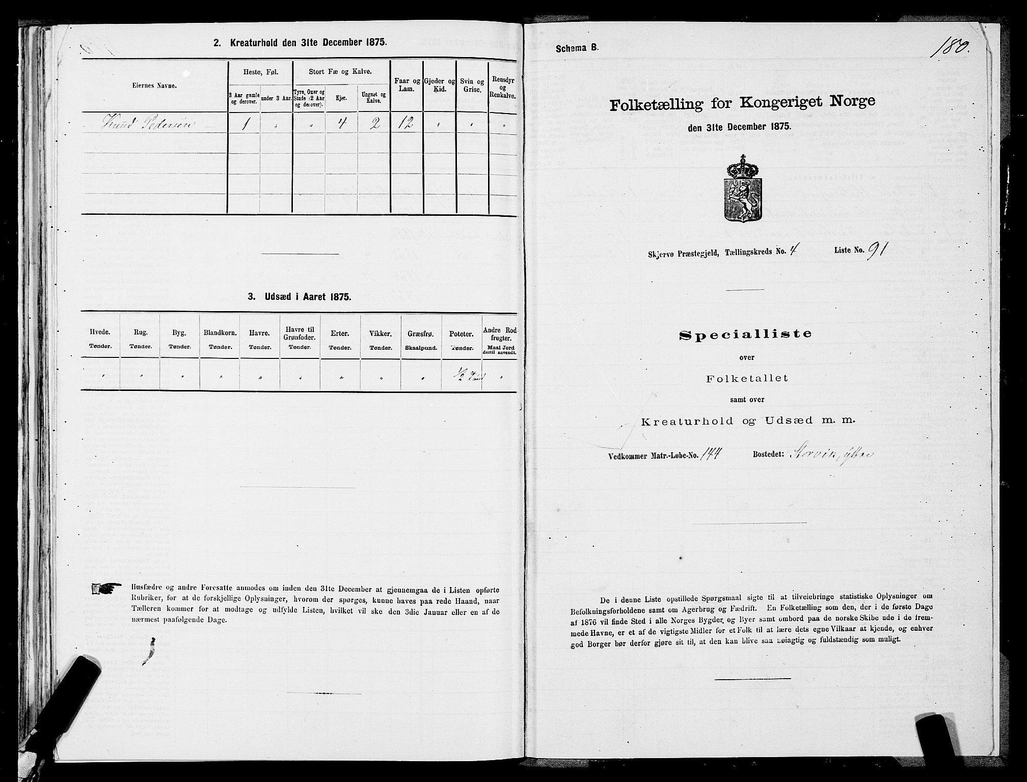 SATØ, 1875 census for 1941P Skjervøy, 1875, p. 3180