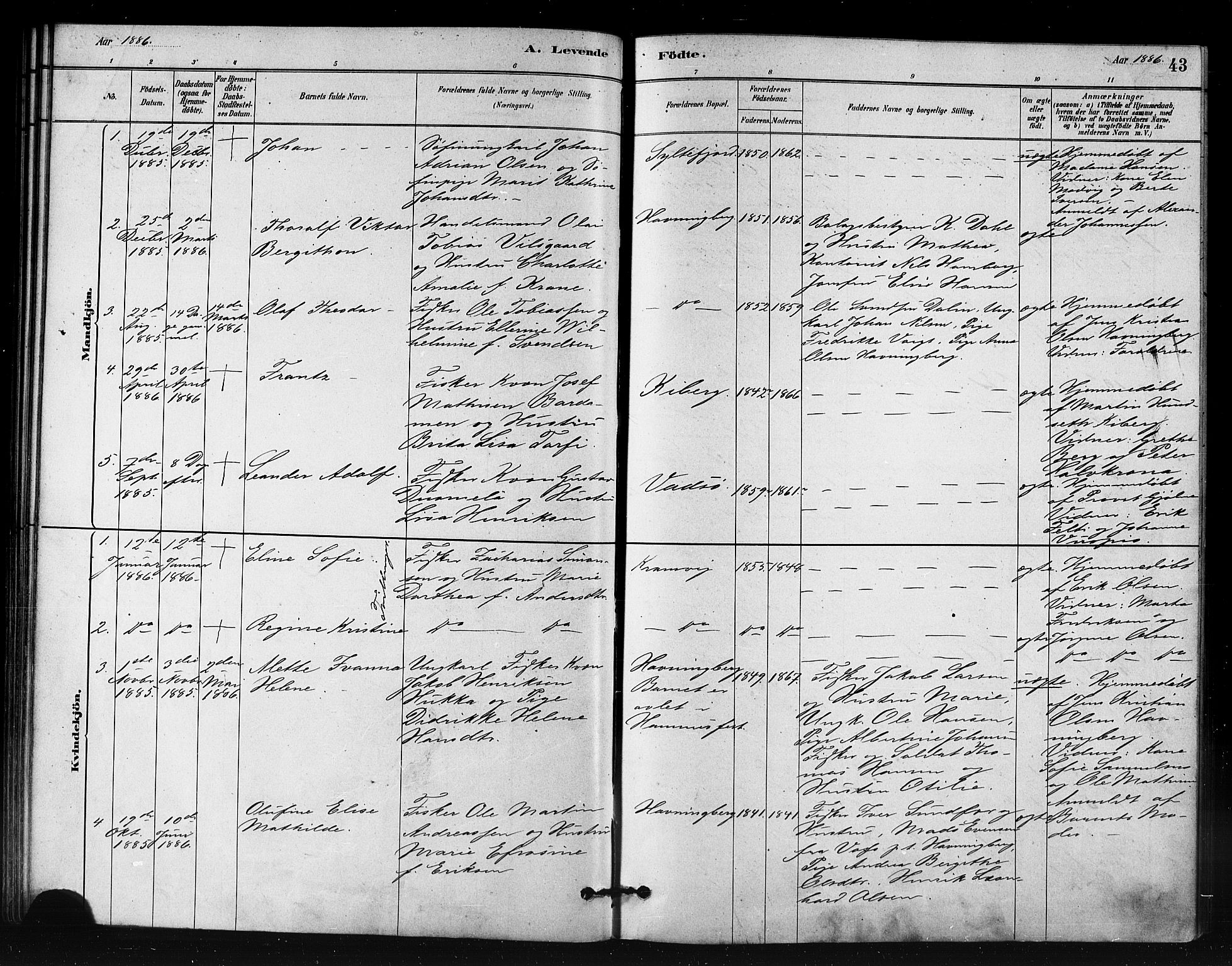 Vardø sokneprestkontor, AV/SATØ-S-1332/H/Ha/L0008kirke: Parish register (official) no. 8, 1879-1887, p. 43