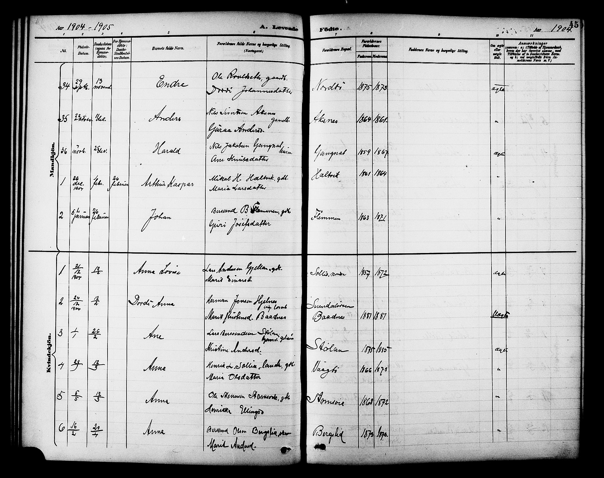 Ministerialprotokoller, klokkerbøker og fødselsregistre - Møre og Romsdal, AV/SAT-A-1454/586/L0992: Parish register (copy) no. 586C03, 1892-1909, p. 45