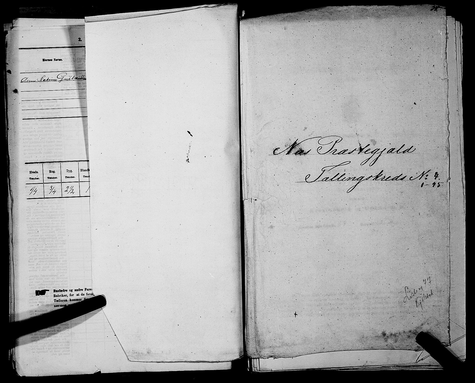 RA, 1875 census for 0236P Nes, 1875, p. 494