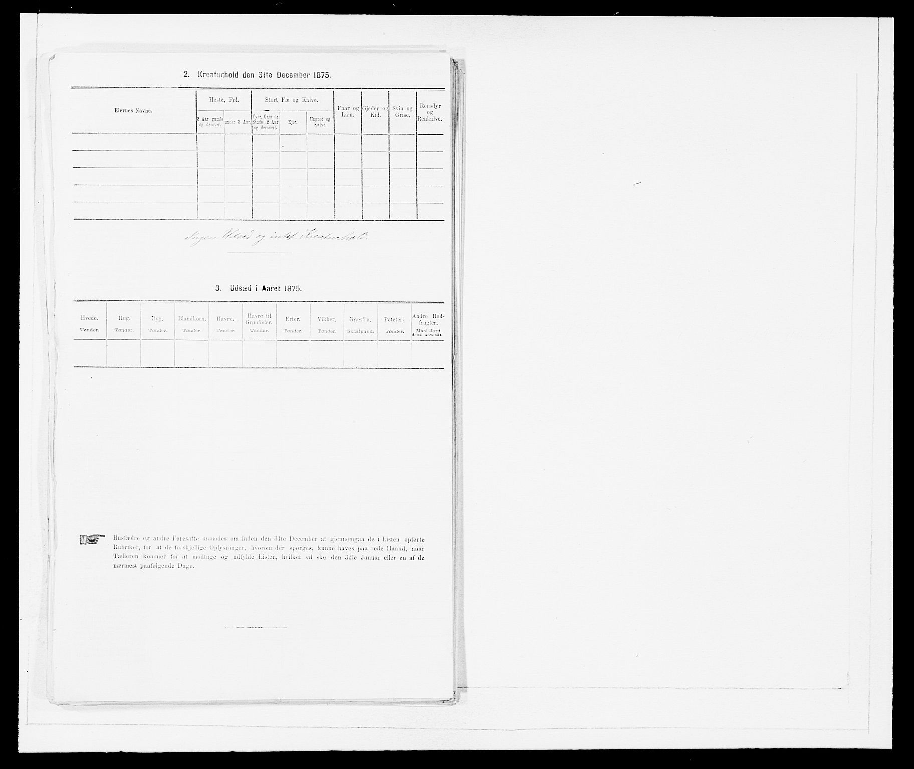 SAB, 1875 Census for 1447P Innvik, 1875, p. 893