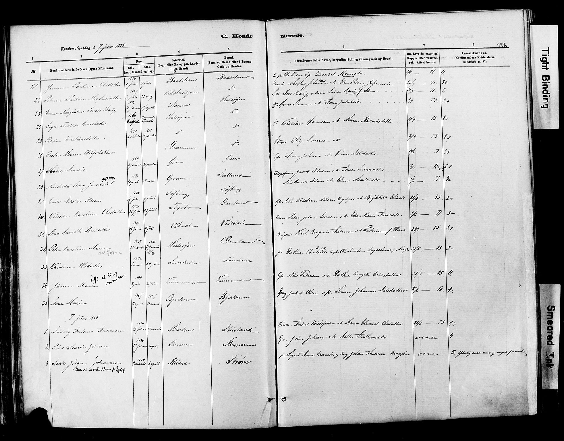 Ministerialprotokoller, klokkerbøker og fødselsregistre - Nordland, AV/SAT-A-1459/820/L0295: Parish register (official) no. 820A16, 1880-1896, p. 196