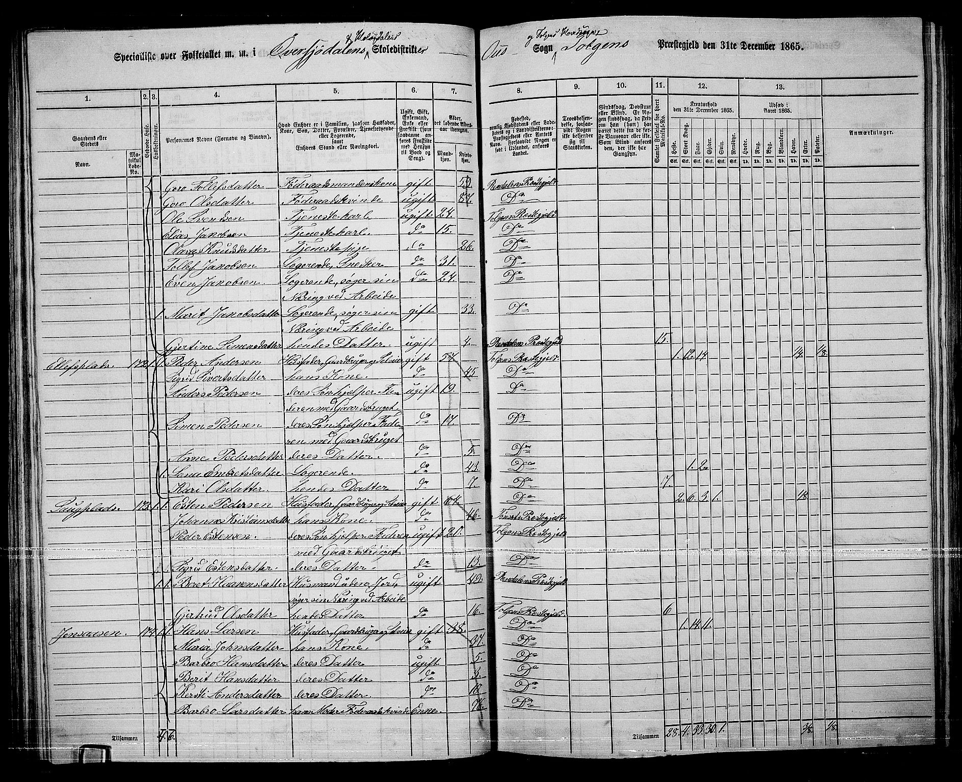 RA, 1865 census for Tolga, 1865, p. 81