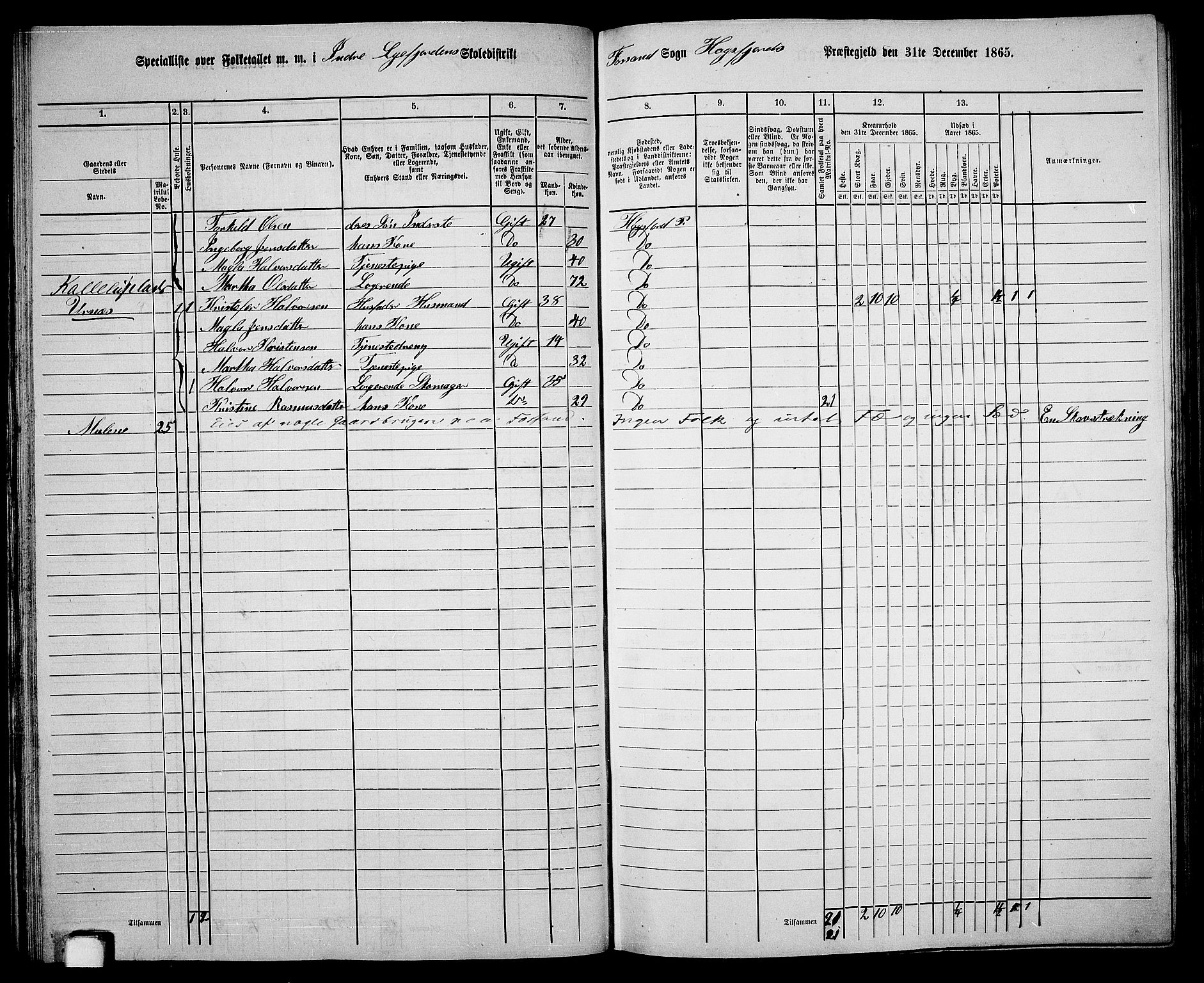 RA, 1865 census for Høgsfjord, 1865, p. 36