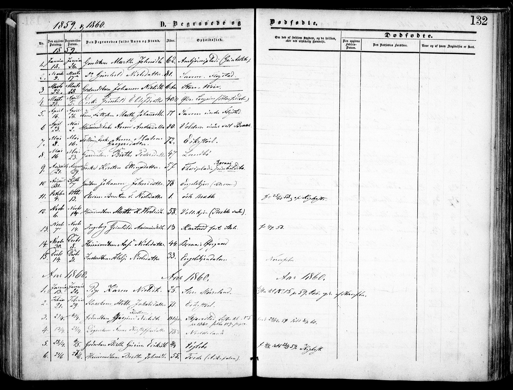 Austre Moland sokneprestkontor, AV/SAK-1111-0001/F/Fa/Faa/L0008: Parish register (official) no. A 8, 1858-1868, p. 132