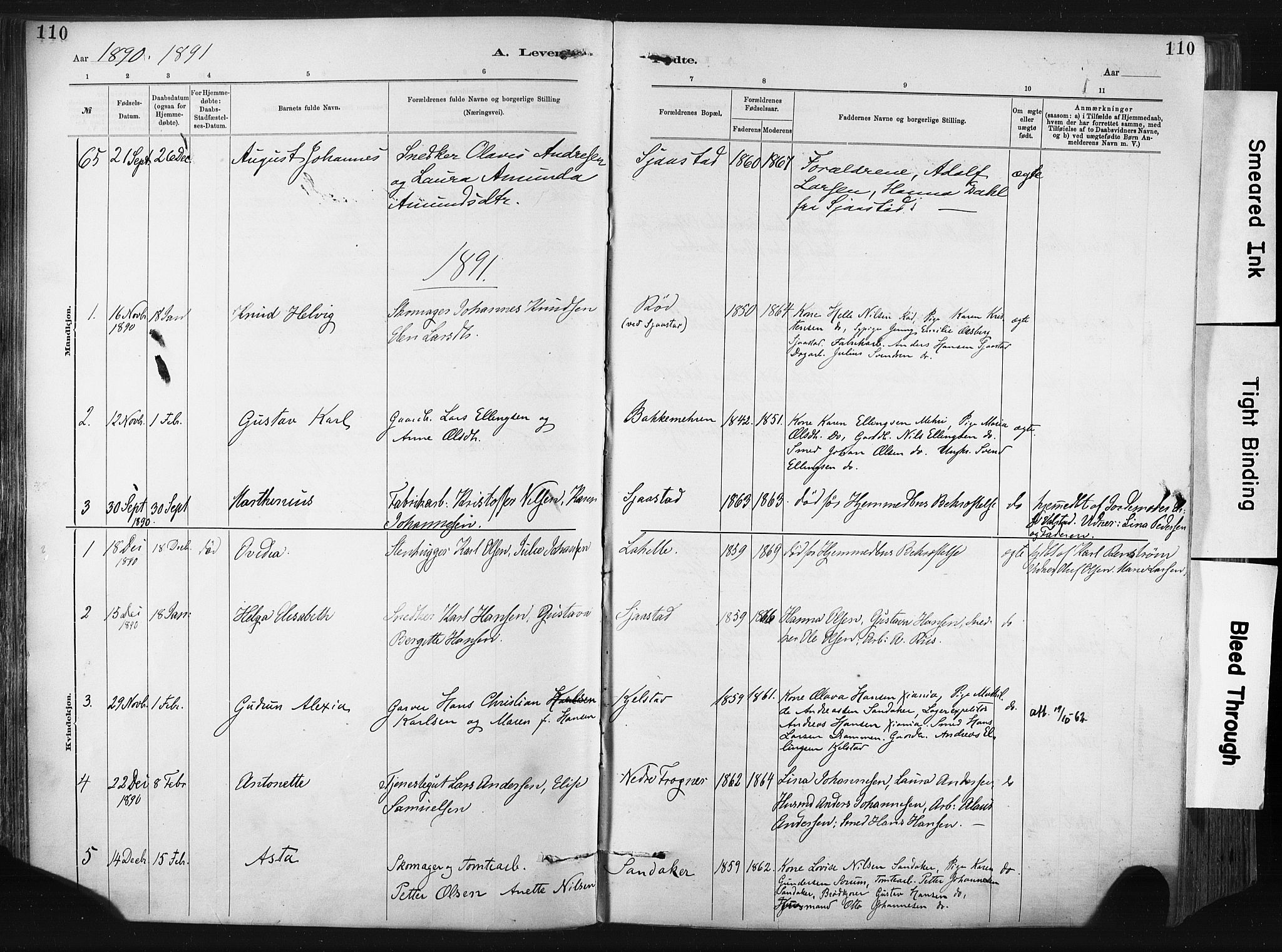 Lier kirkebøker, SAKO/A-230/F/Fa/L0015: Parish register (official) no. I 15, 1883-1894, p. 110