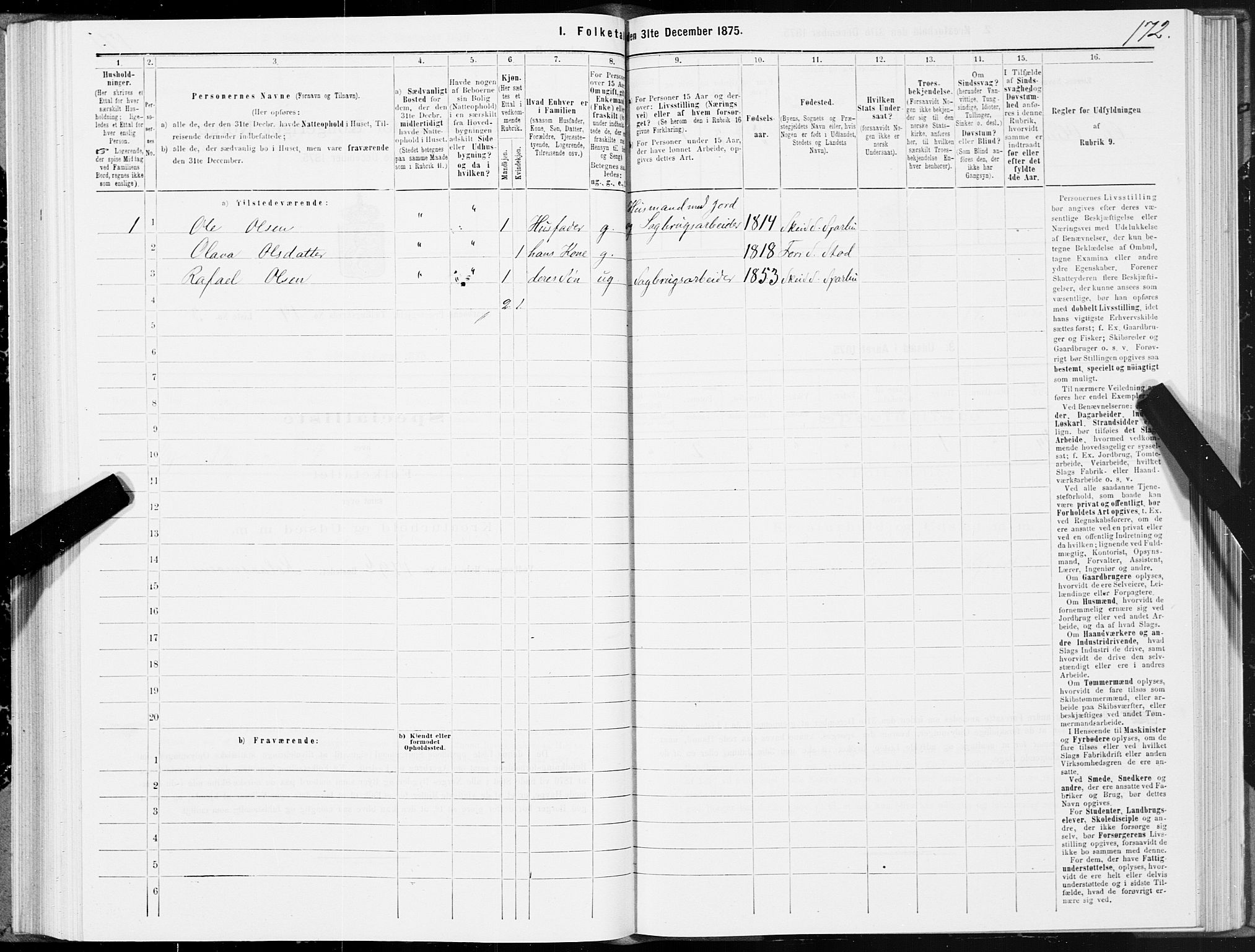 SAT, 1875 census for 1731P Sparbu, 1875, p. 5172