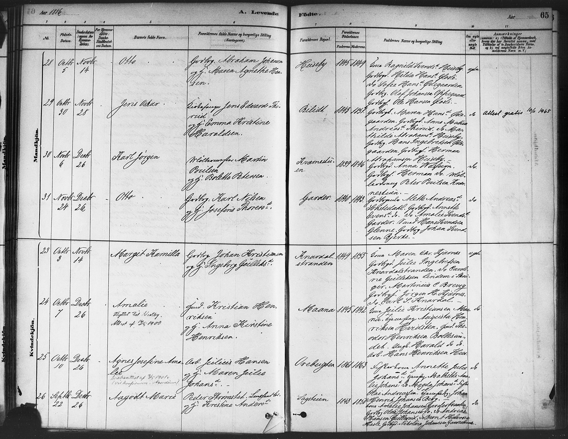 Drøbak prestekontor Kirkebøker, SAO/A-10142a/F/Fc/L0002: Parish register (official) no. III 2, 1878-1891, p. 65